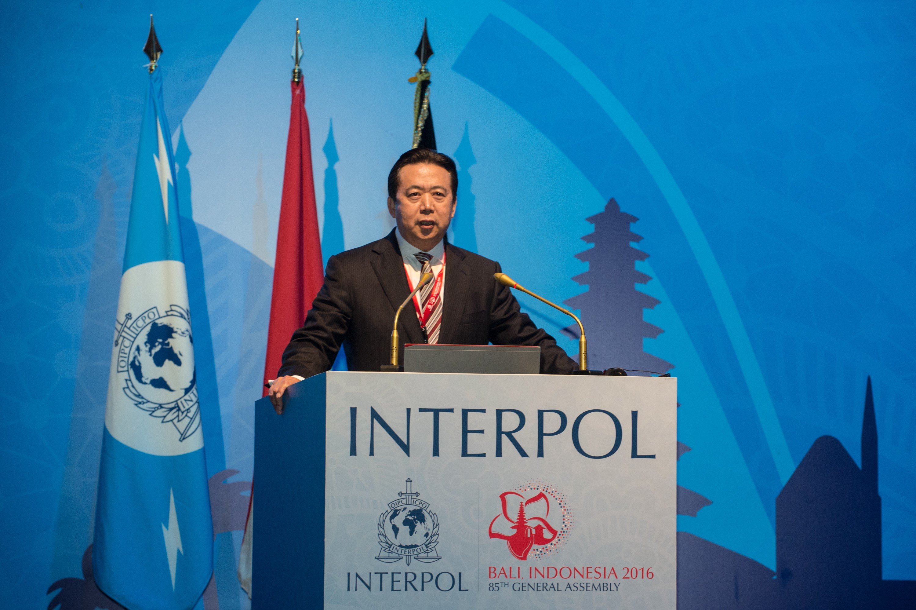Meng Hongwei was unanimously elected Interpol president. Photo: Xinhua