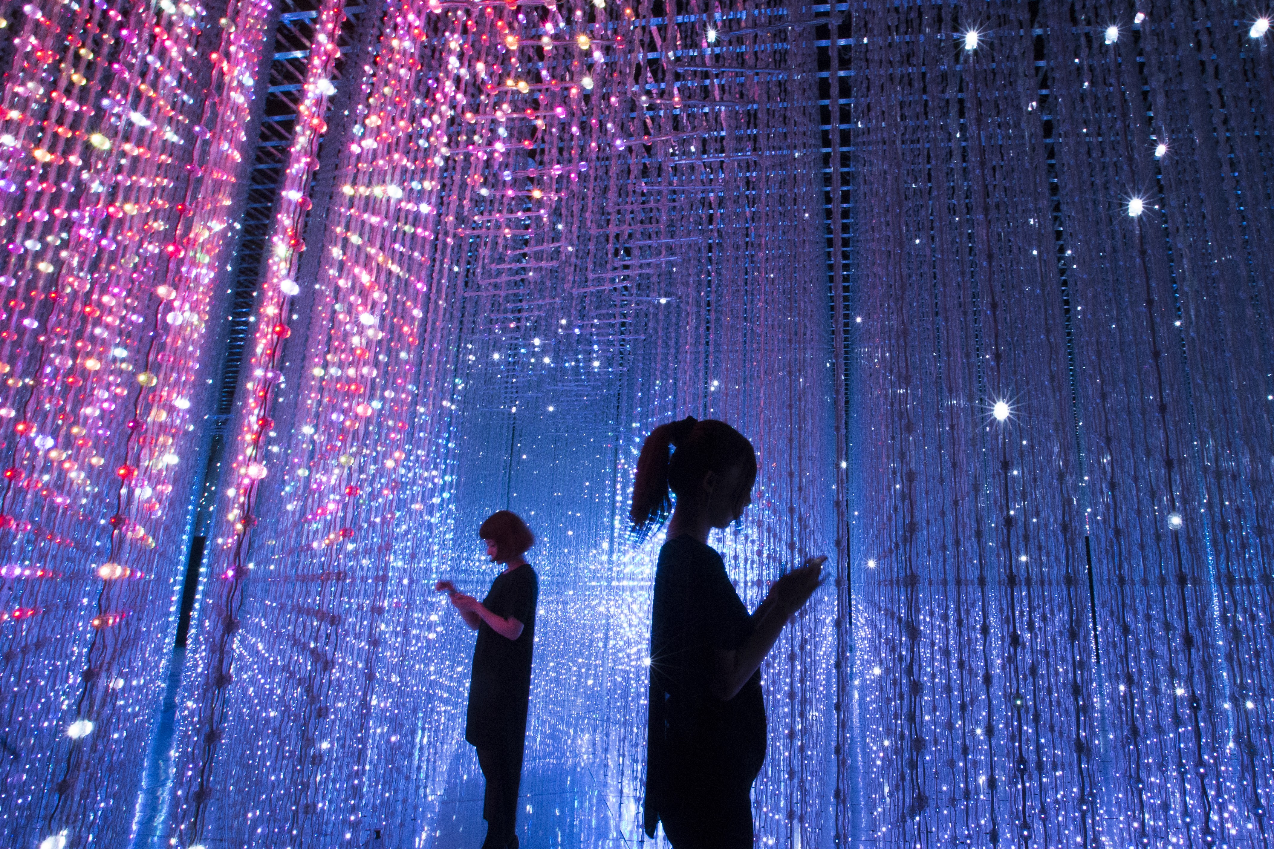 A light installation in the ArtScience Museum illuminates the creative processes.