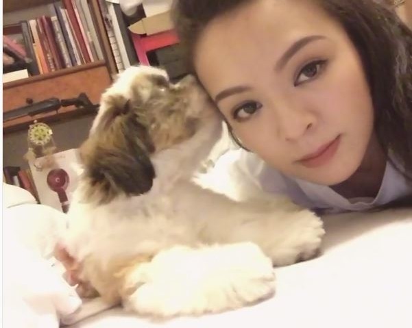 Joey Wong hid from typhoon Hato with her dog.