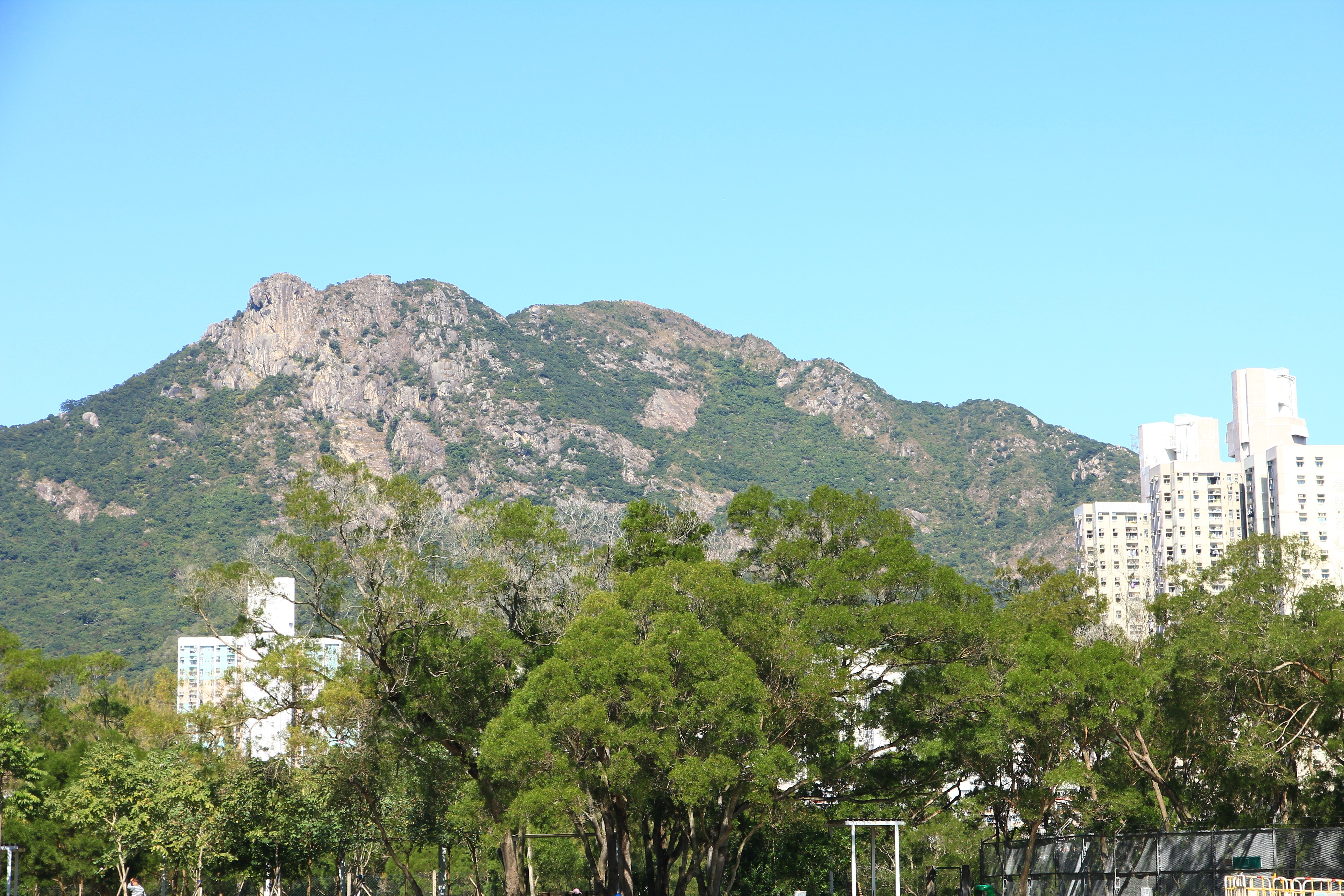 Lion Rock Hill in north Kowloon. Photo: Shutterstock
