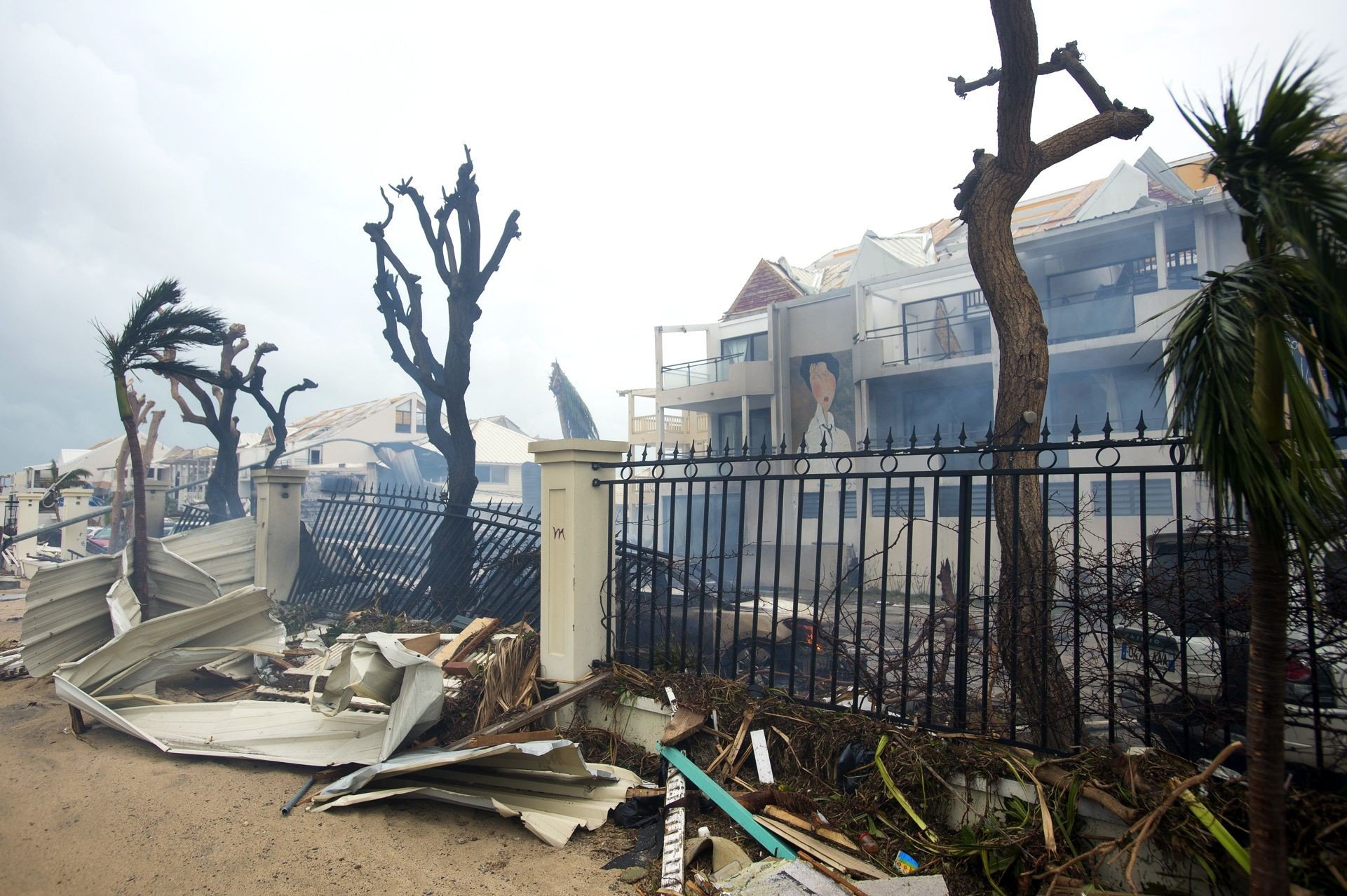 A photo taken on Wednesday in Marigot, Saint Martin, shows ruined buildings and trees stripped of foliage by Hurricane Irma. Photo: AFP