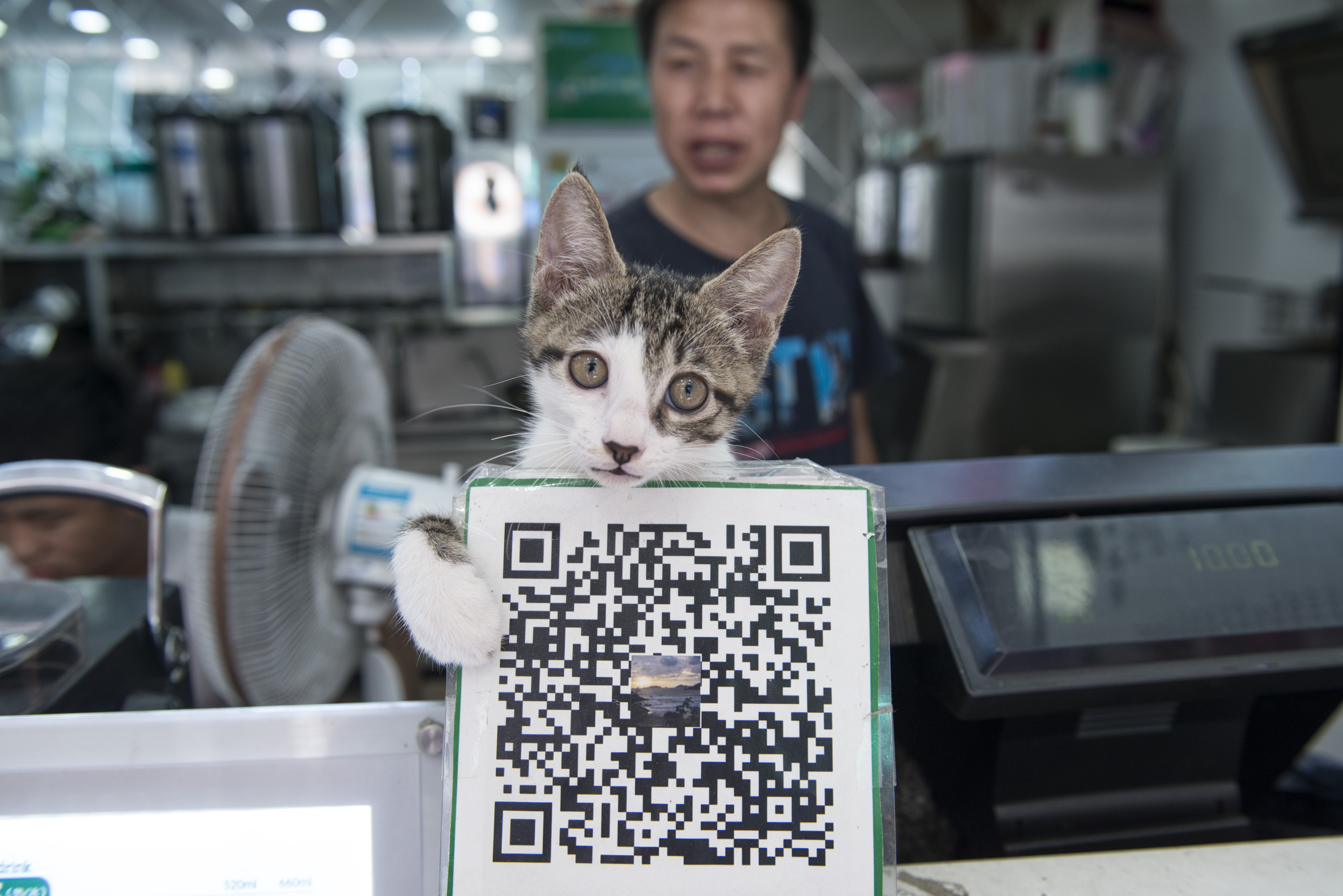 We find out if it’s possible to live in Shanghai without paper money or bank cards and discover how online payments have dethroned cash as king in digital revolution that’s being led by two big players – Alipay and Tenpay