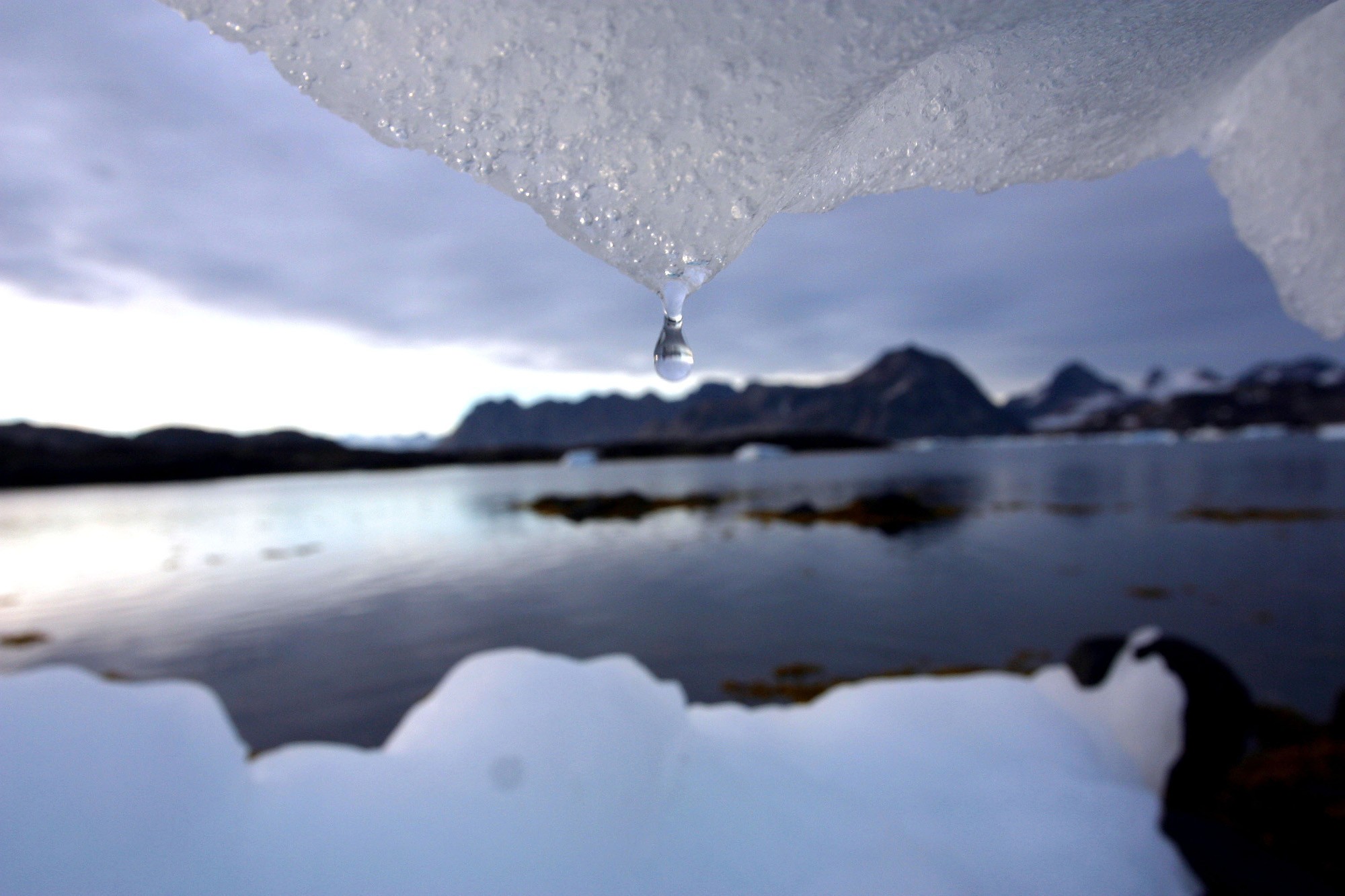 Bottled water said to be sourced from icebergs go for high prices. Photo: AP/ John McConnico