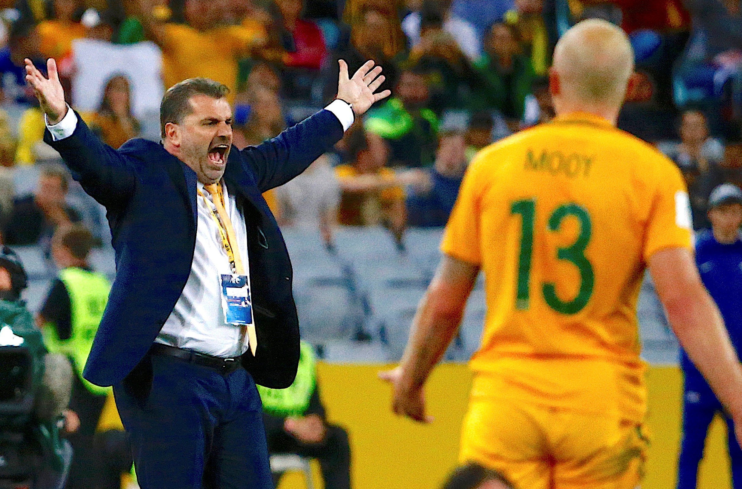 Australia head coach is reported to be considering stepping down from his role as national team manager. Photo: Reuters
