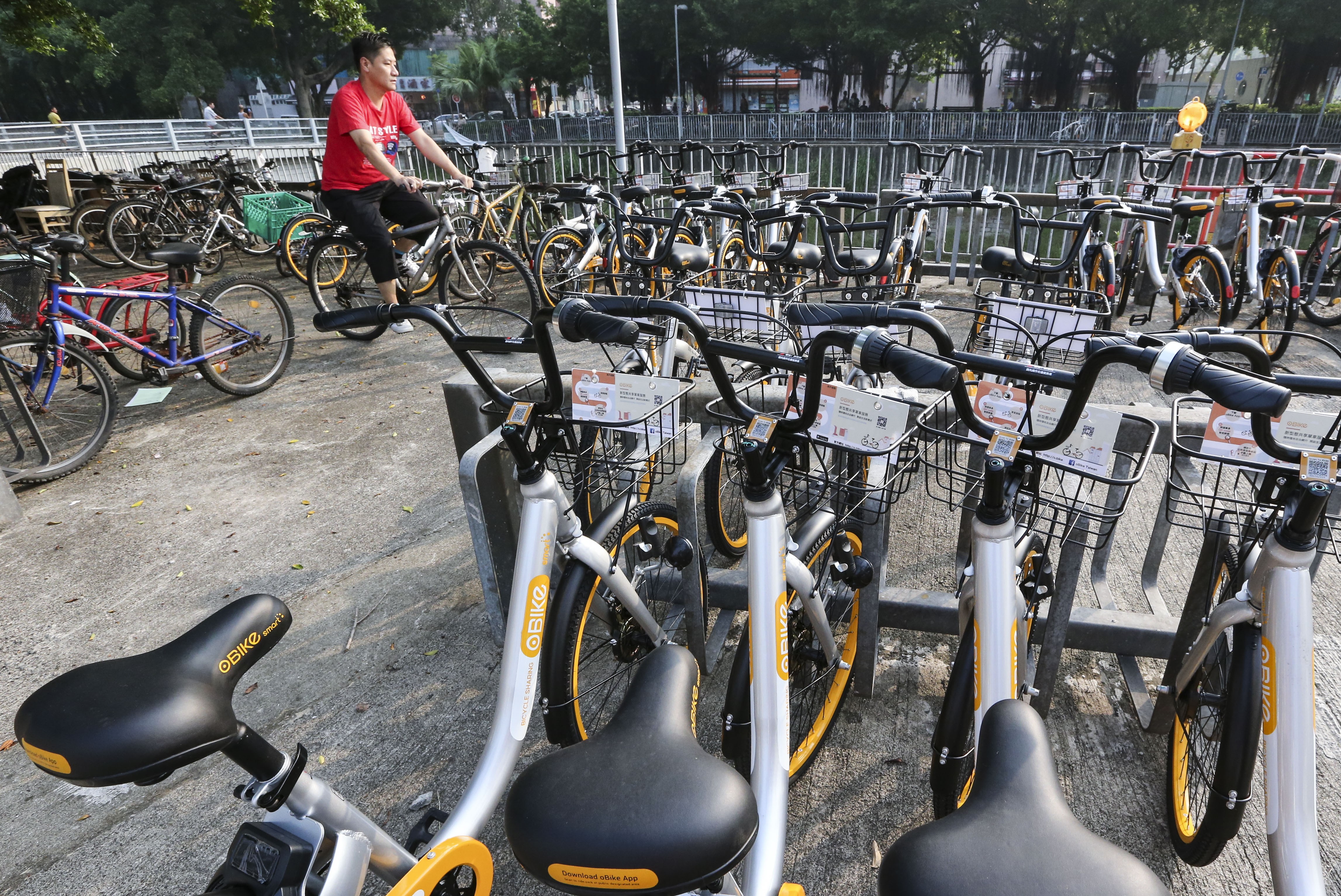 Bike-sharing on mobile app was only introduced in Hong Kong a few months ago. Photo: David Wong