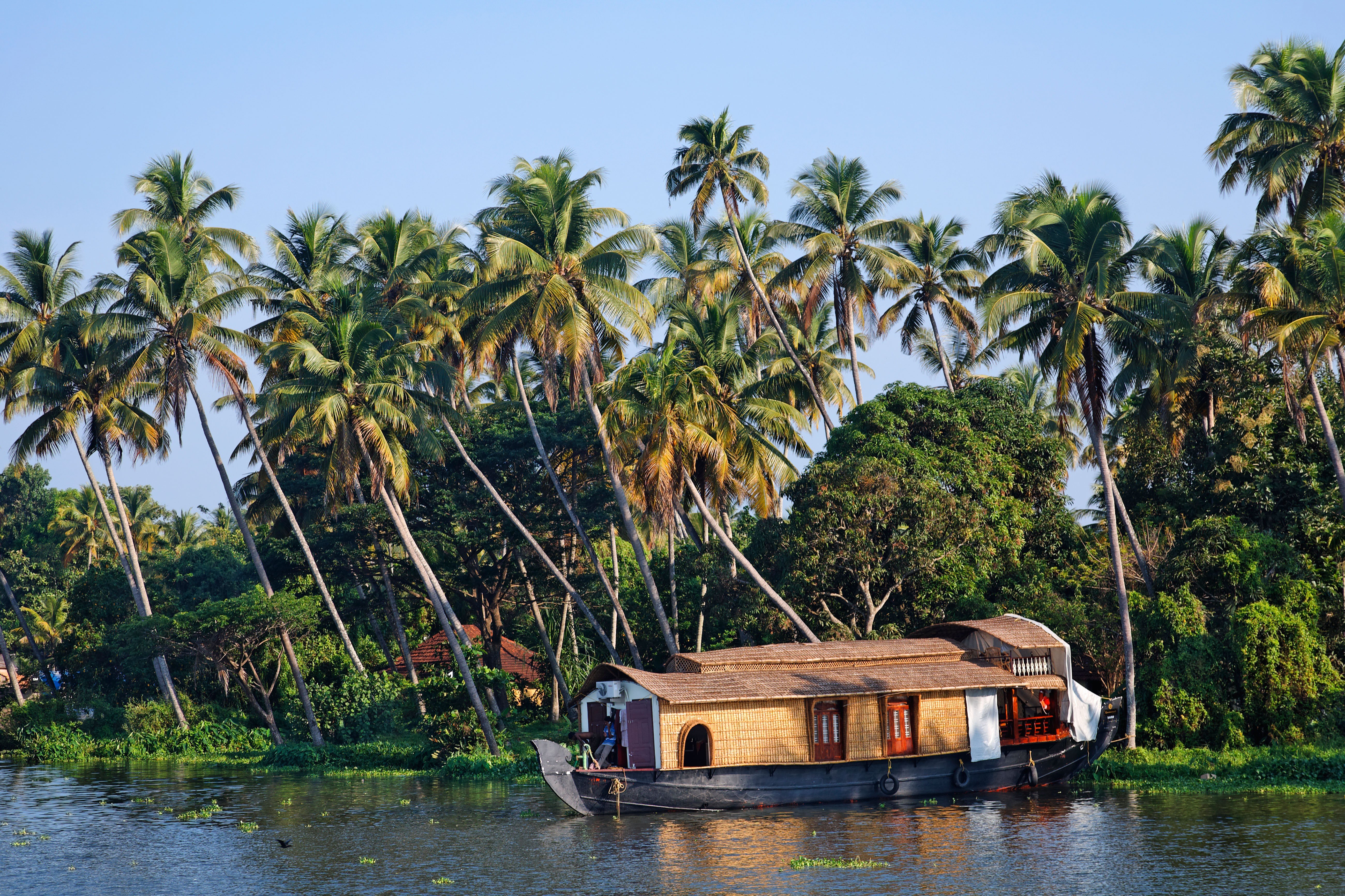 Alleppey Houseboat Review In Kerala Backwaters India