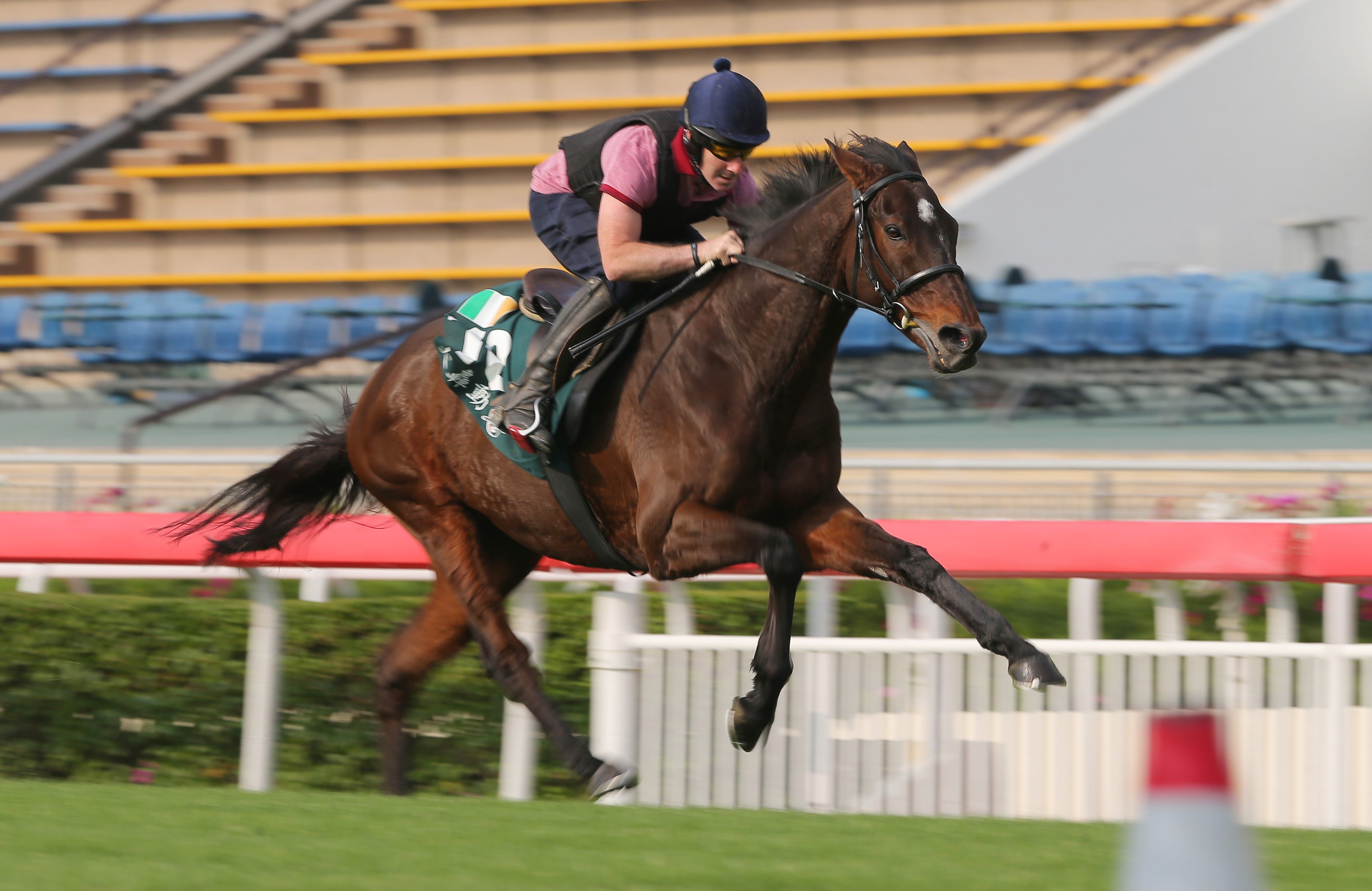 Hong Kong Vase runner Max Dynamite amazes trackwatchers with his final sprint. Photos: Kenneth Chan