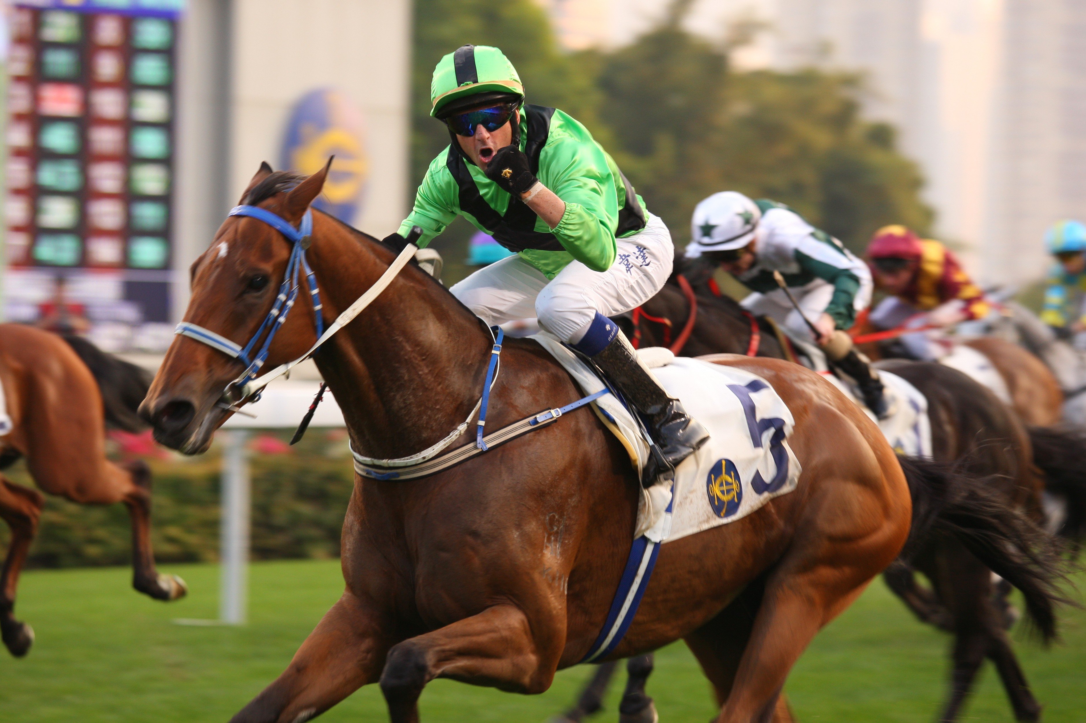 Super Satin, ridden by Douglas Whyte, won the Peninsula Golden Jubilee Challenge Cup at Sha Tin in 2010.