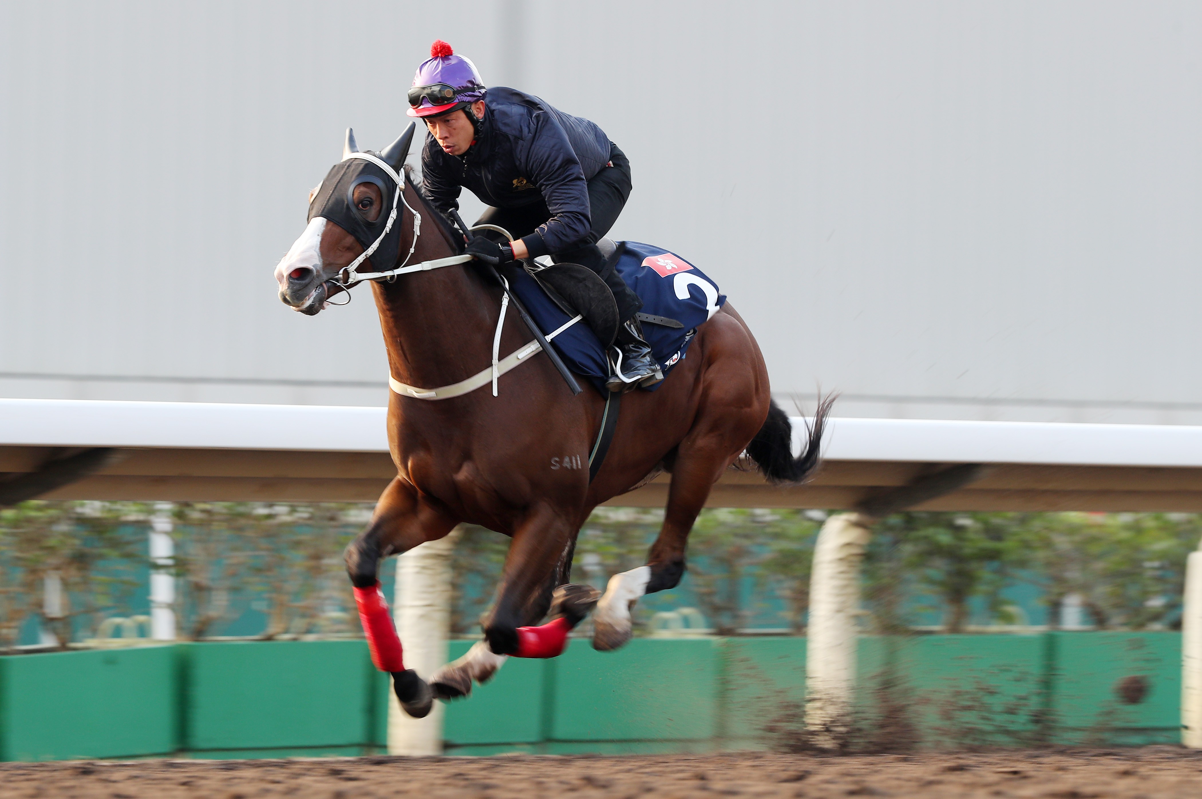 Beauty Only impresses on the training track on Wednesday morning. Photos: Kenneth Chan
