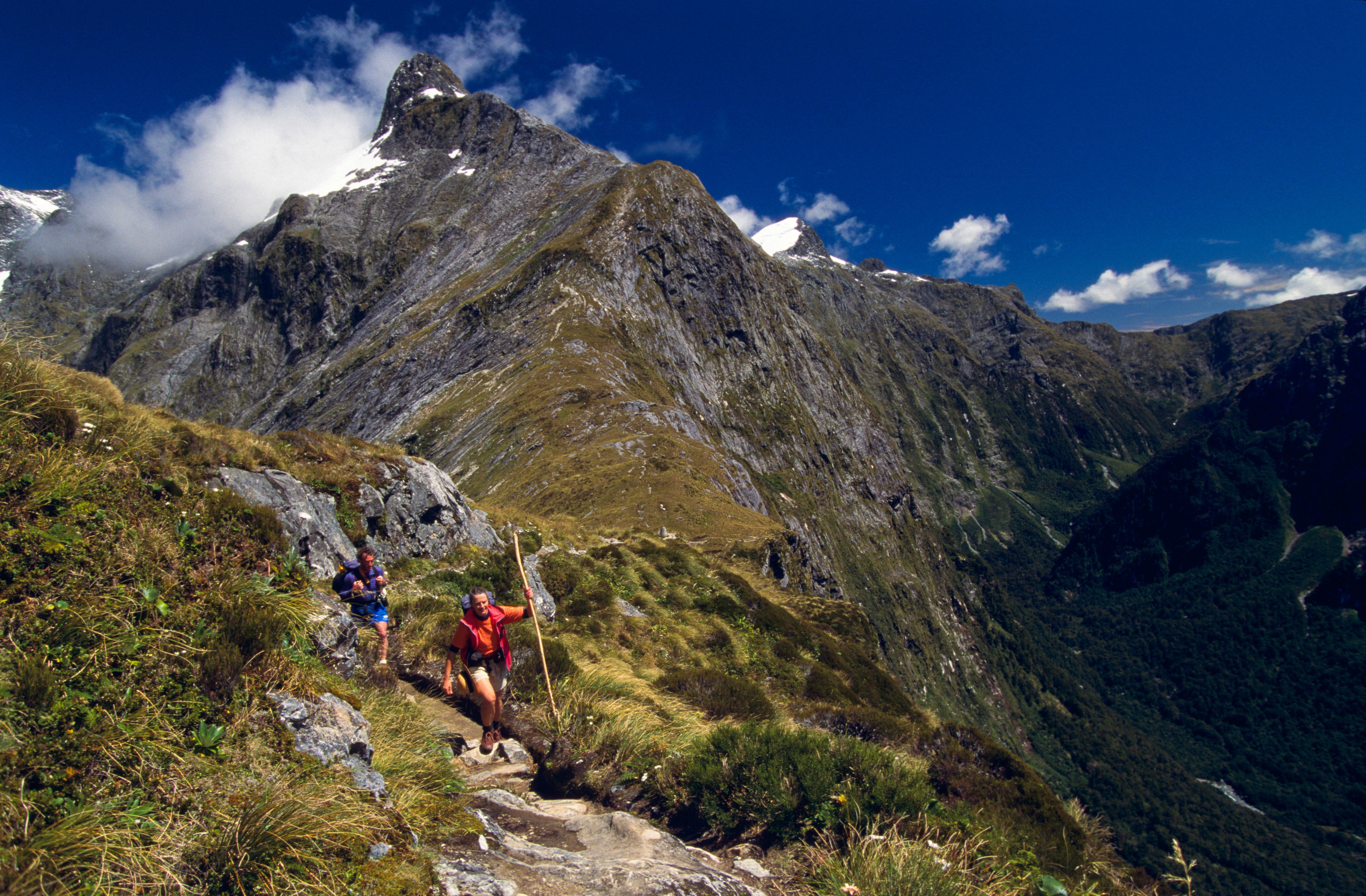 The Milford Track in New Zealand’s Fiordland National Park is synonymous with beauty. Photo: Alamy