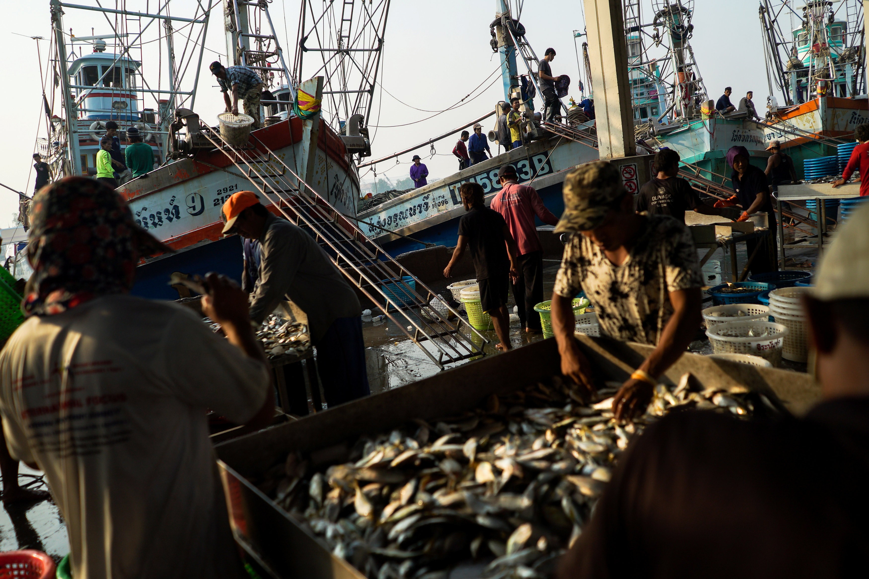 Thailand's fishing industry is no longer on European watch list for illegal  practices, including human trafficking