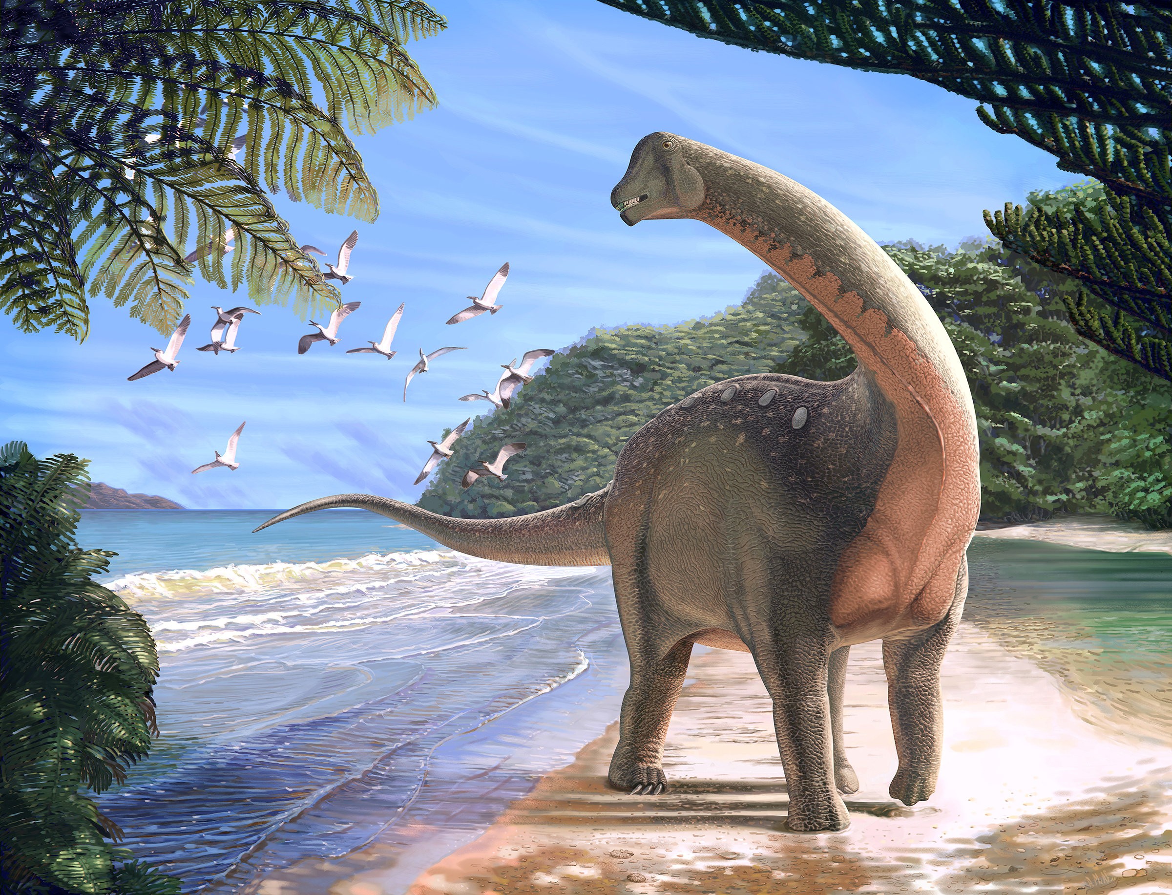 An artist’s reconstruction of the titanosaurian dinosaur Mansourasaurus shahinae on a coastline in what is now the Western Desert of Egypt approximately 80 million years ago. Graphic: Reuters / Andrew McAfee/Carnegie Museum of Natural History