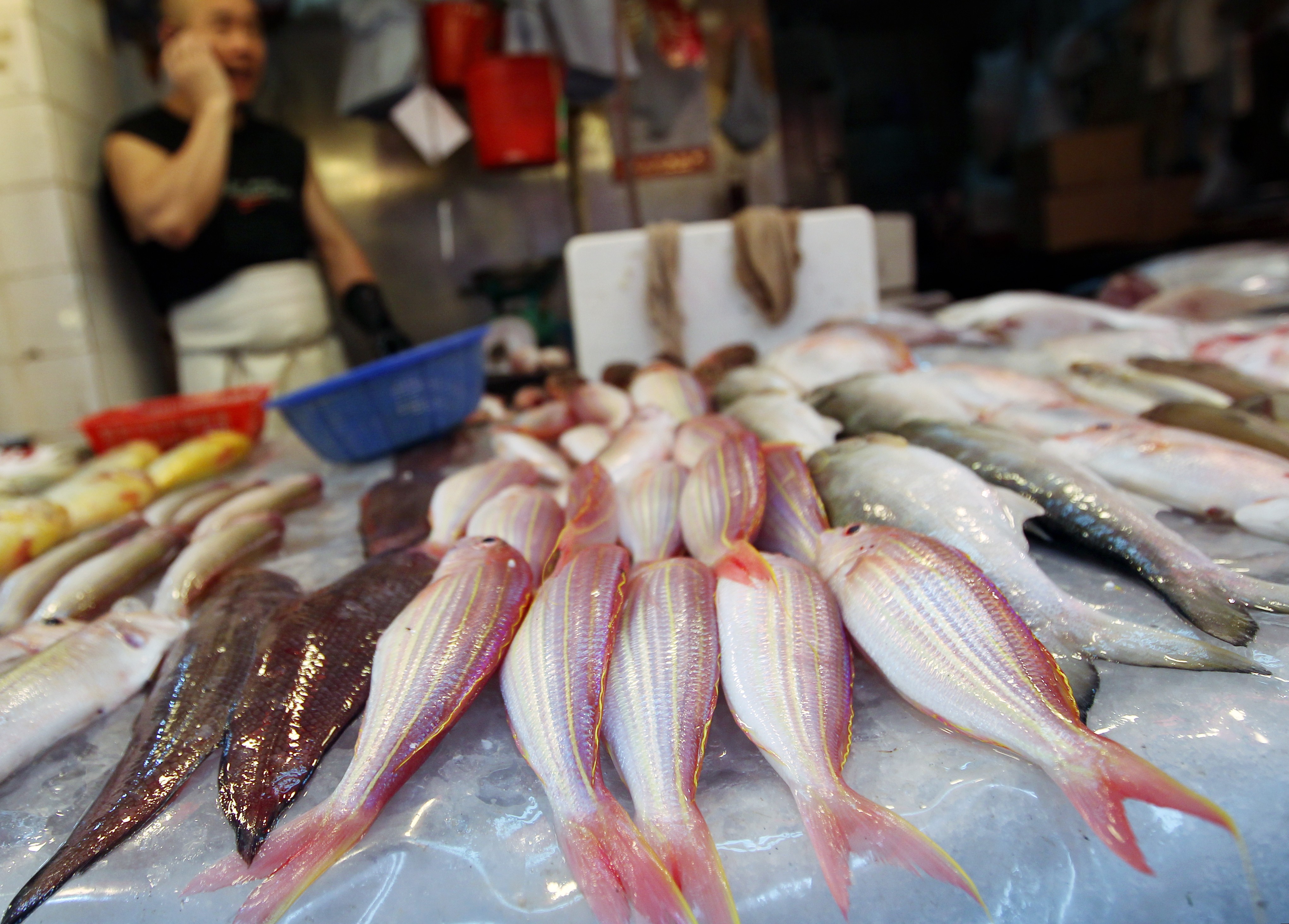 Golden threadfin bream is sold at a wet market in Wan Chai. A recent survey of Hong Kong’s nine supermarket chains showed that all of them were selling at least one globally threatened species, including golden threadfish bream. Photo: Jonathan Wong