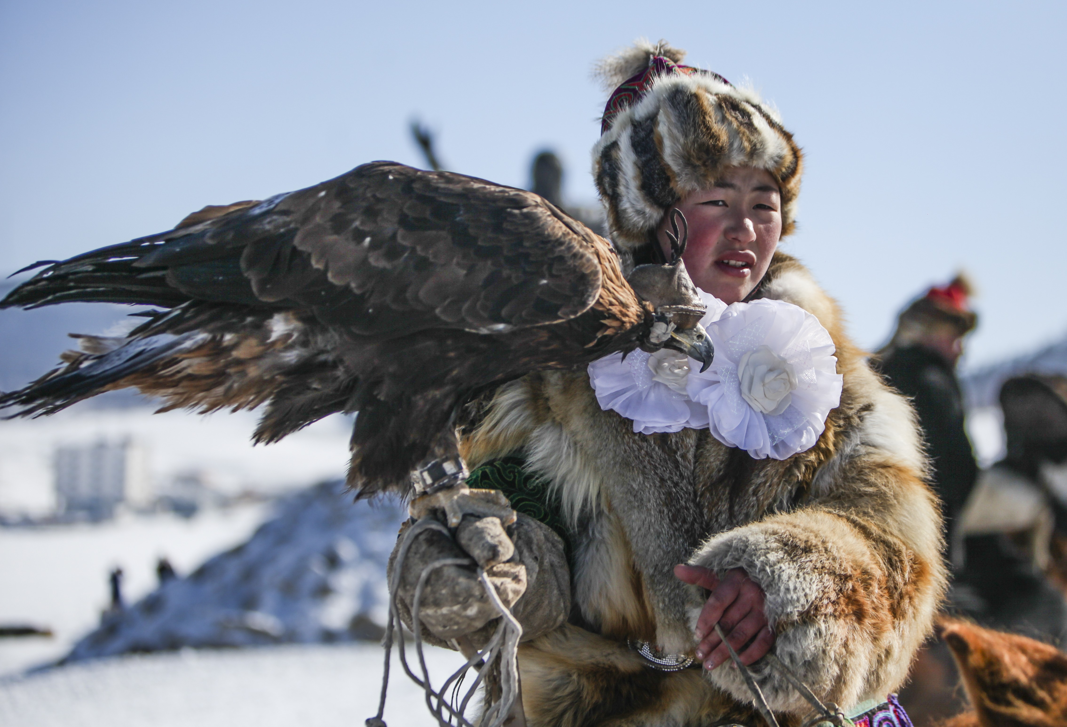 The 6,000-year-old tradition of eagle hunting among Mongolia’s Kazakh minority had almost died out 20 years ago. The launch of festivals gave it a new lease of life, and a recent film about the sport raised its international profile