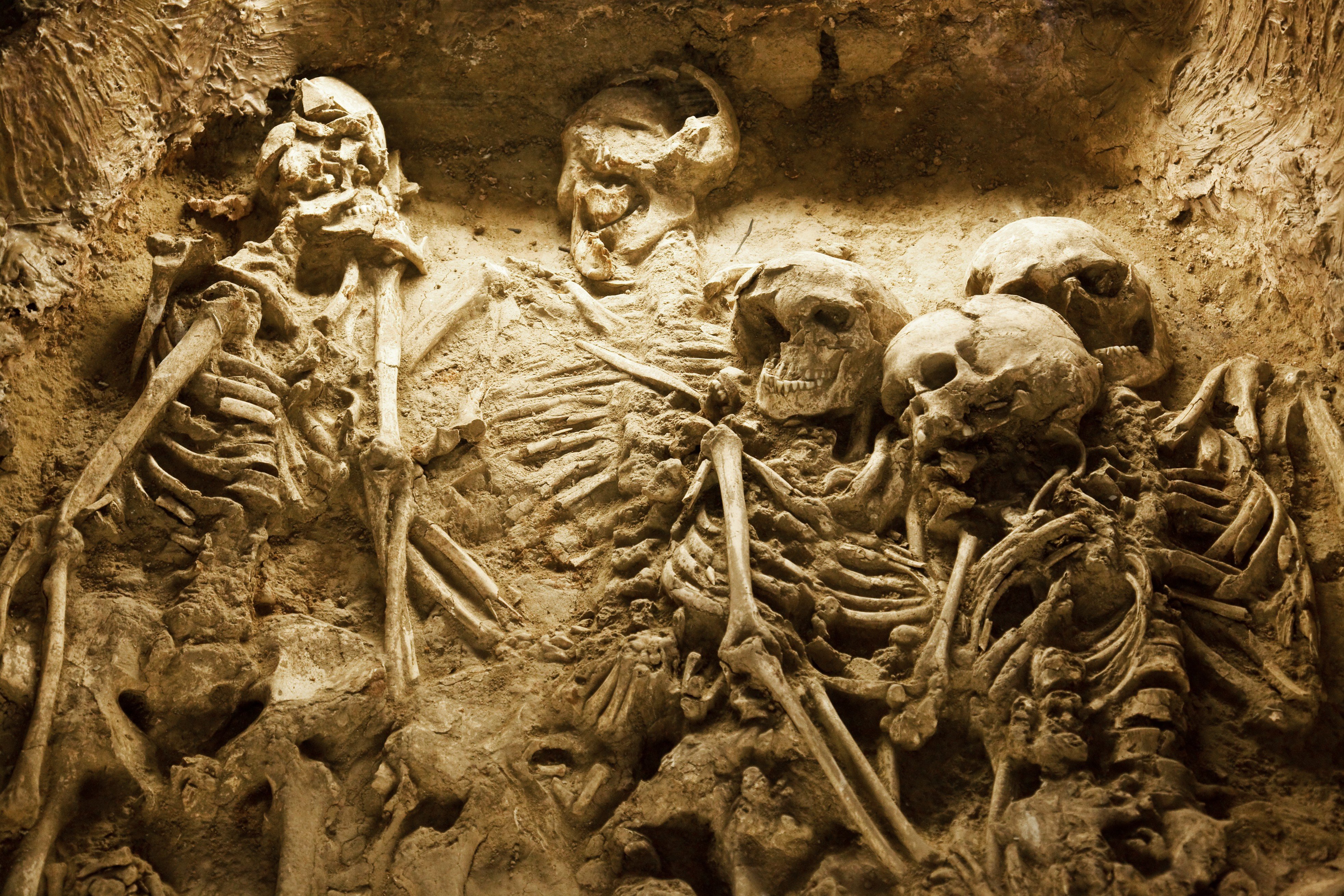 The skeletons of a family in an ancient sacrifice pit in China.