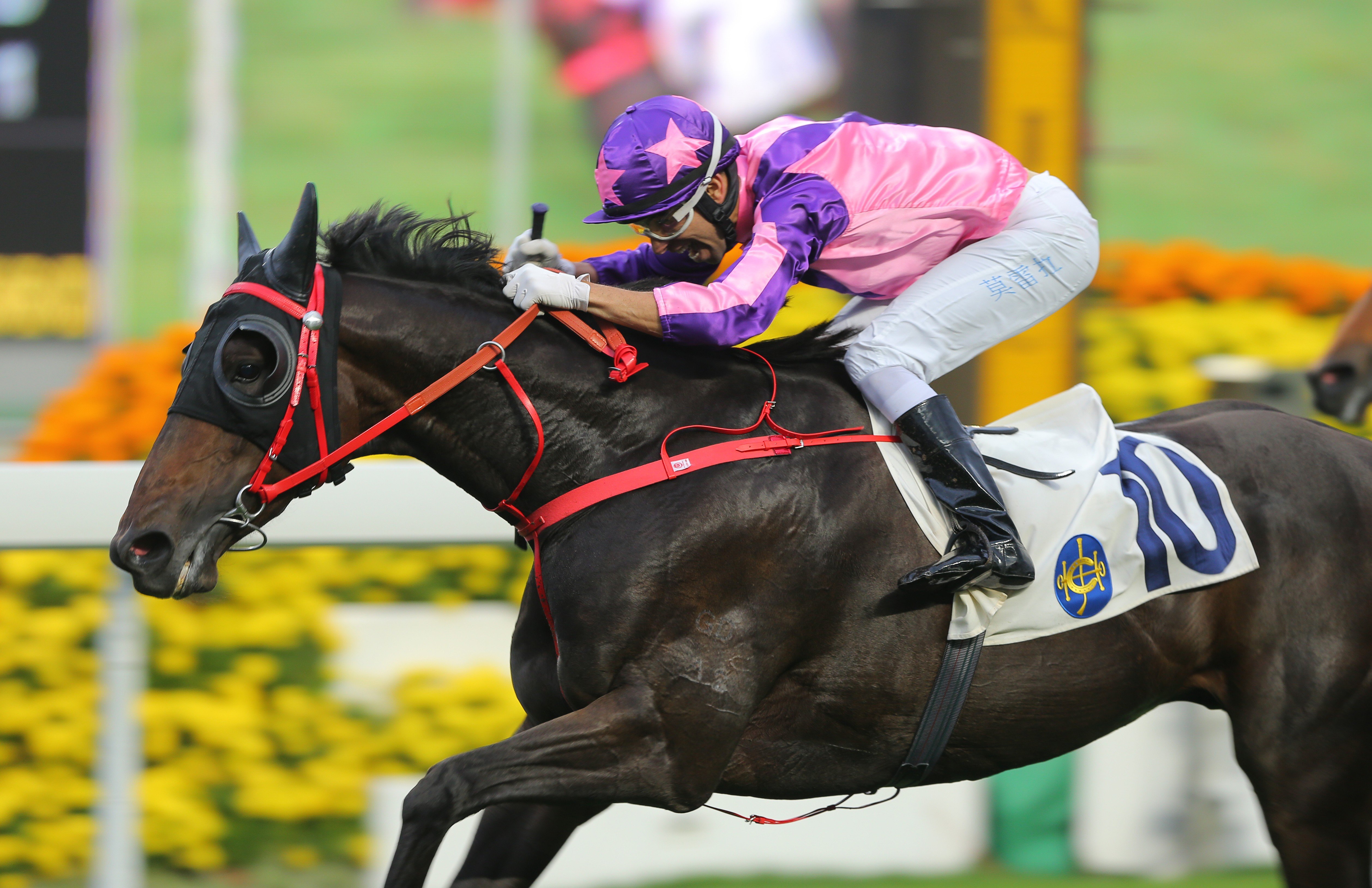 Joao Moreira guides Prawn Baba to victory at Sha Tin in March 2017.