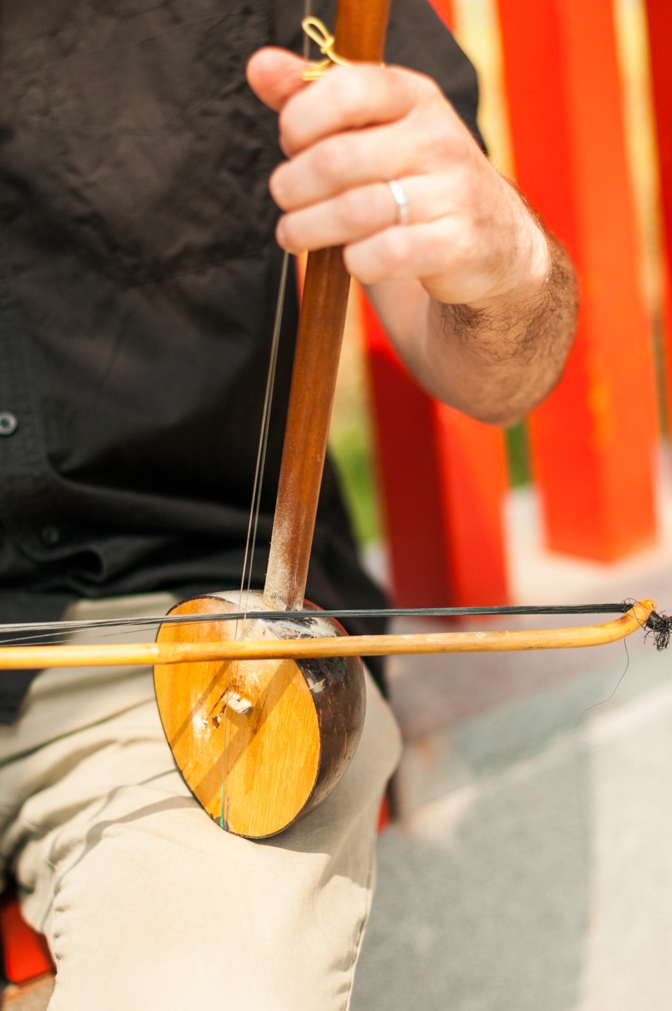 Coconut violin clearance