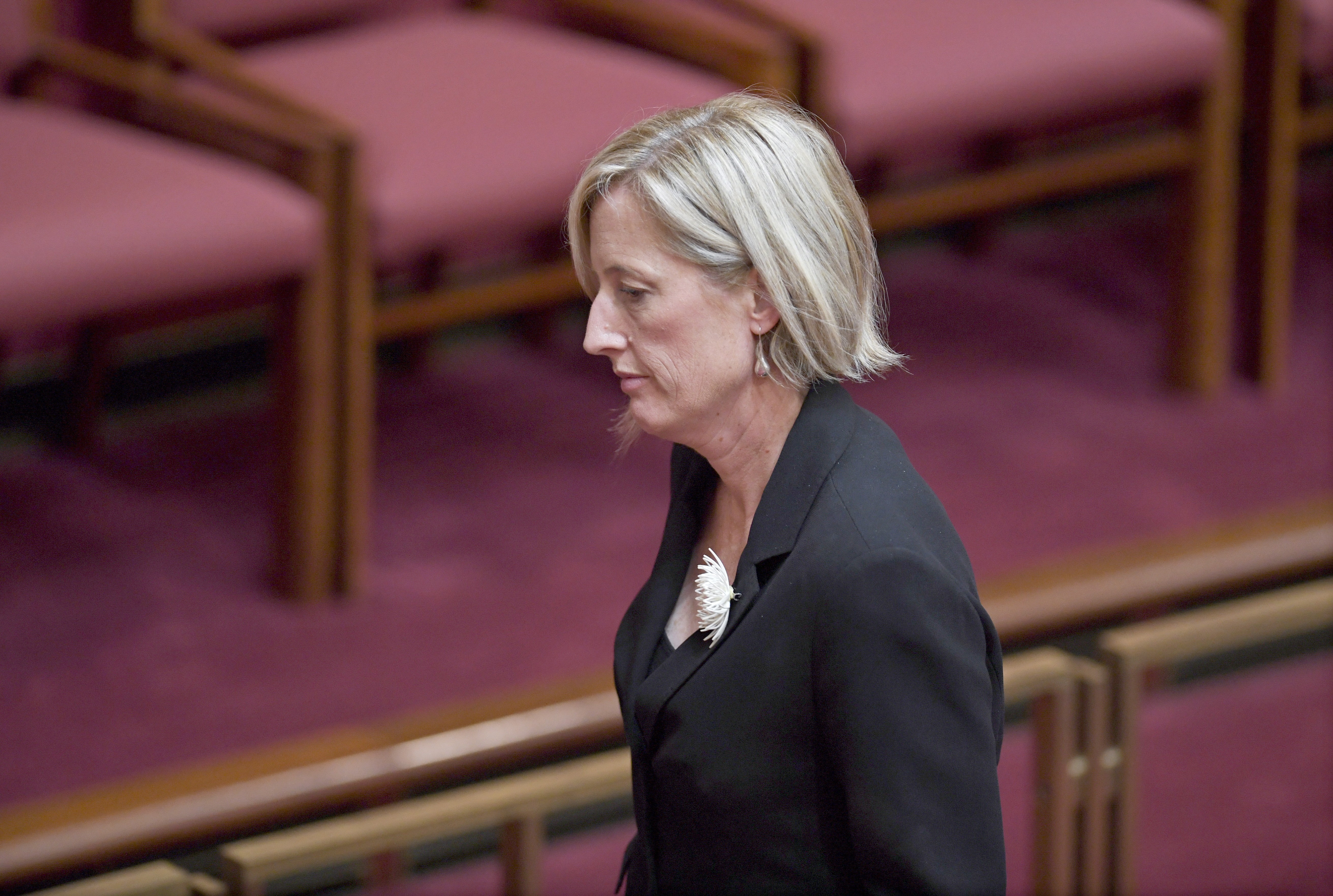 Opposition Senator Katy Gallagher became a test case in the High Court in its interpretation of the ban on dual nationals being elected to Parliament. File photo: EPA