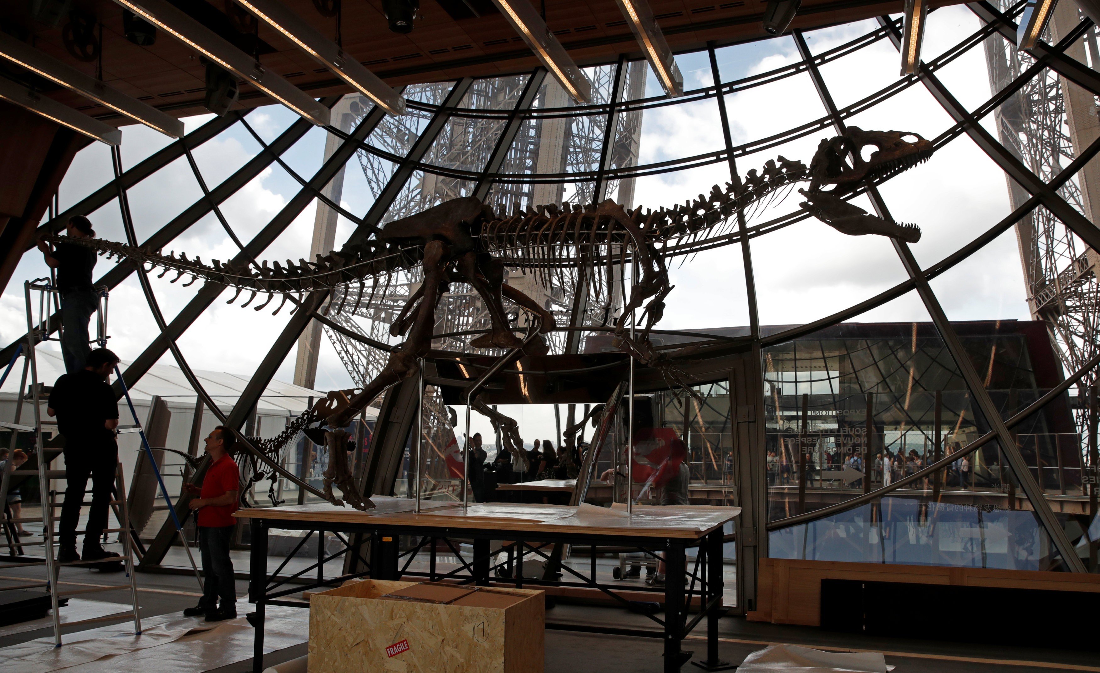 A 150-million-year-old dinosaur skeleton, which is 70 per cent intact, was bought at an auction at the Eiffel Tower in Paris on Monday. Photo: Reuters