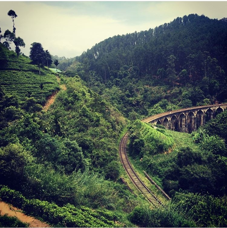 Tea Country in Sri Lanka has some of the most scenic train journeys in the world. Photo: Joshua Chong