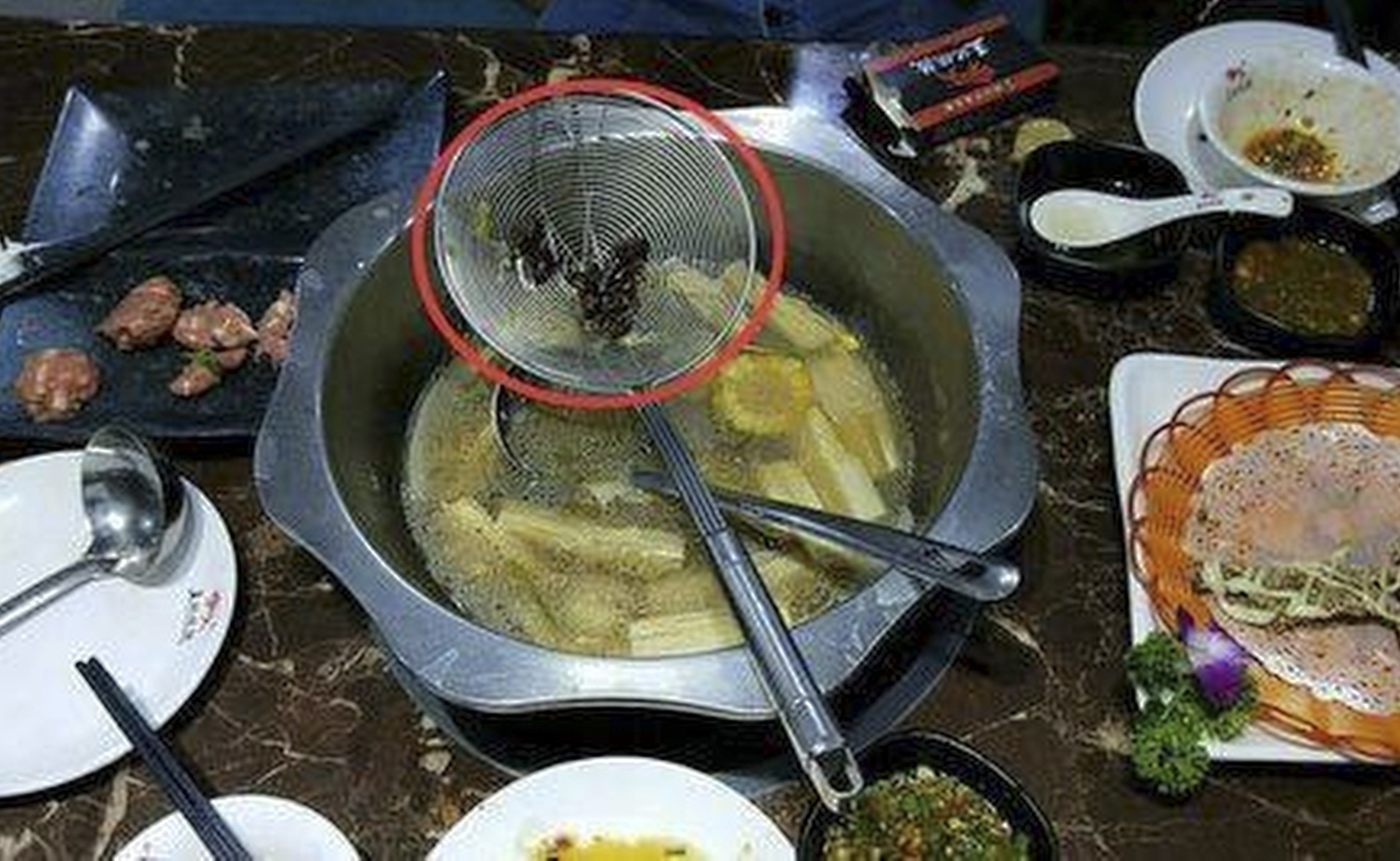 Two women from southern China said they found eight dead cockroaches in their hotpot. Photo: News.163.com