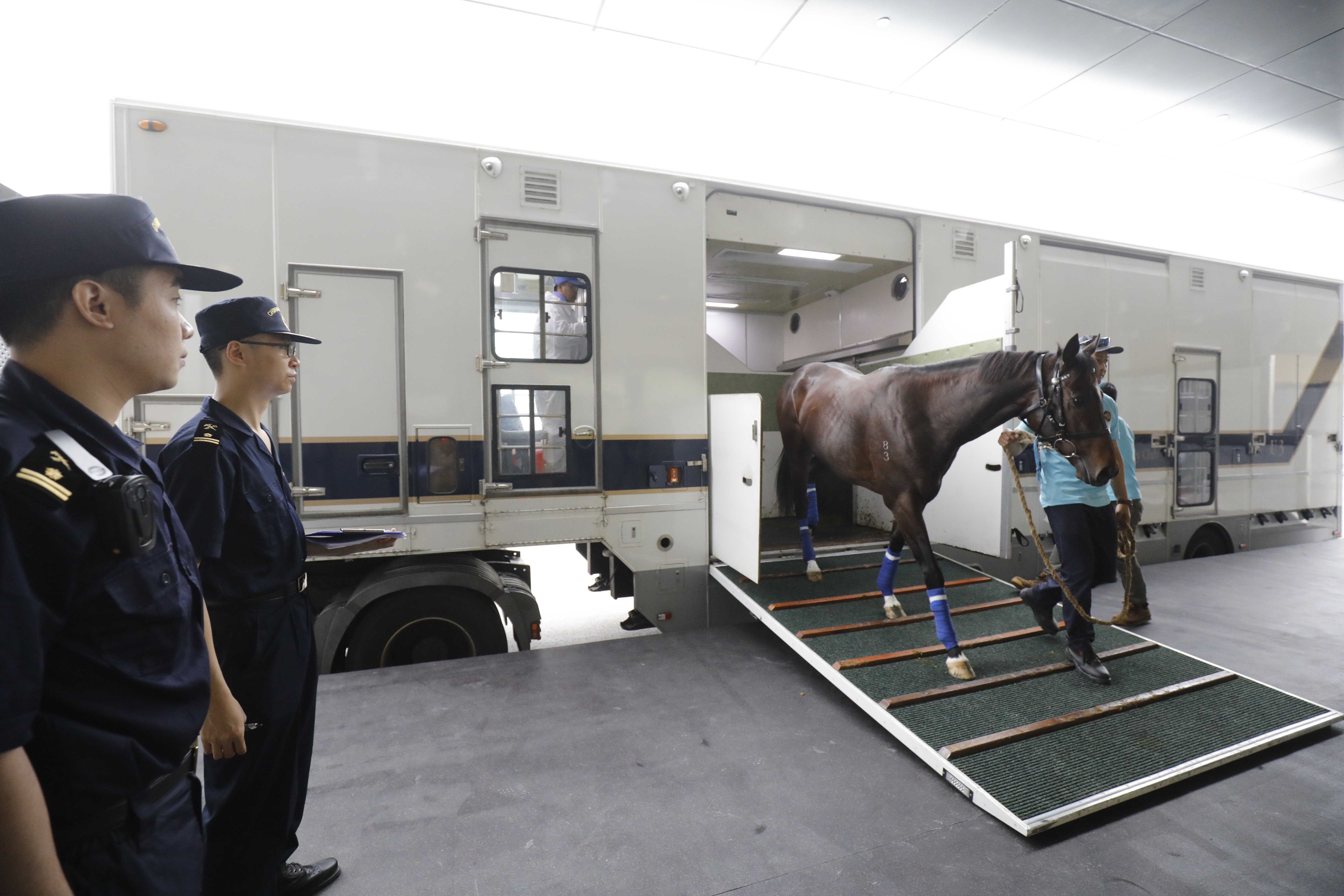 The first horses arrive at Conghua Training Centre on Tuesday. Photos: Hong Kong Jockey Club