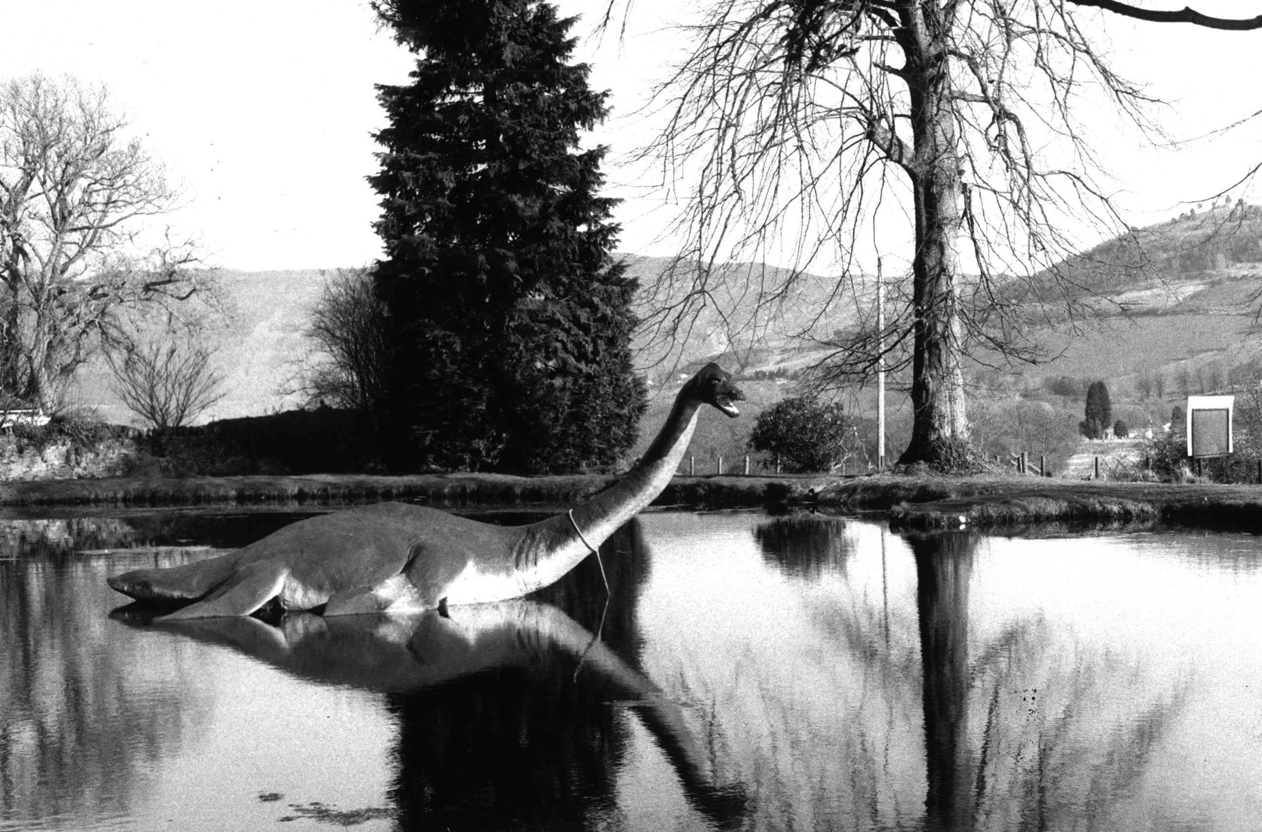 Scientist launches hunt for Loch Ness monster's DNA | South China Morning  Post