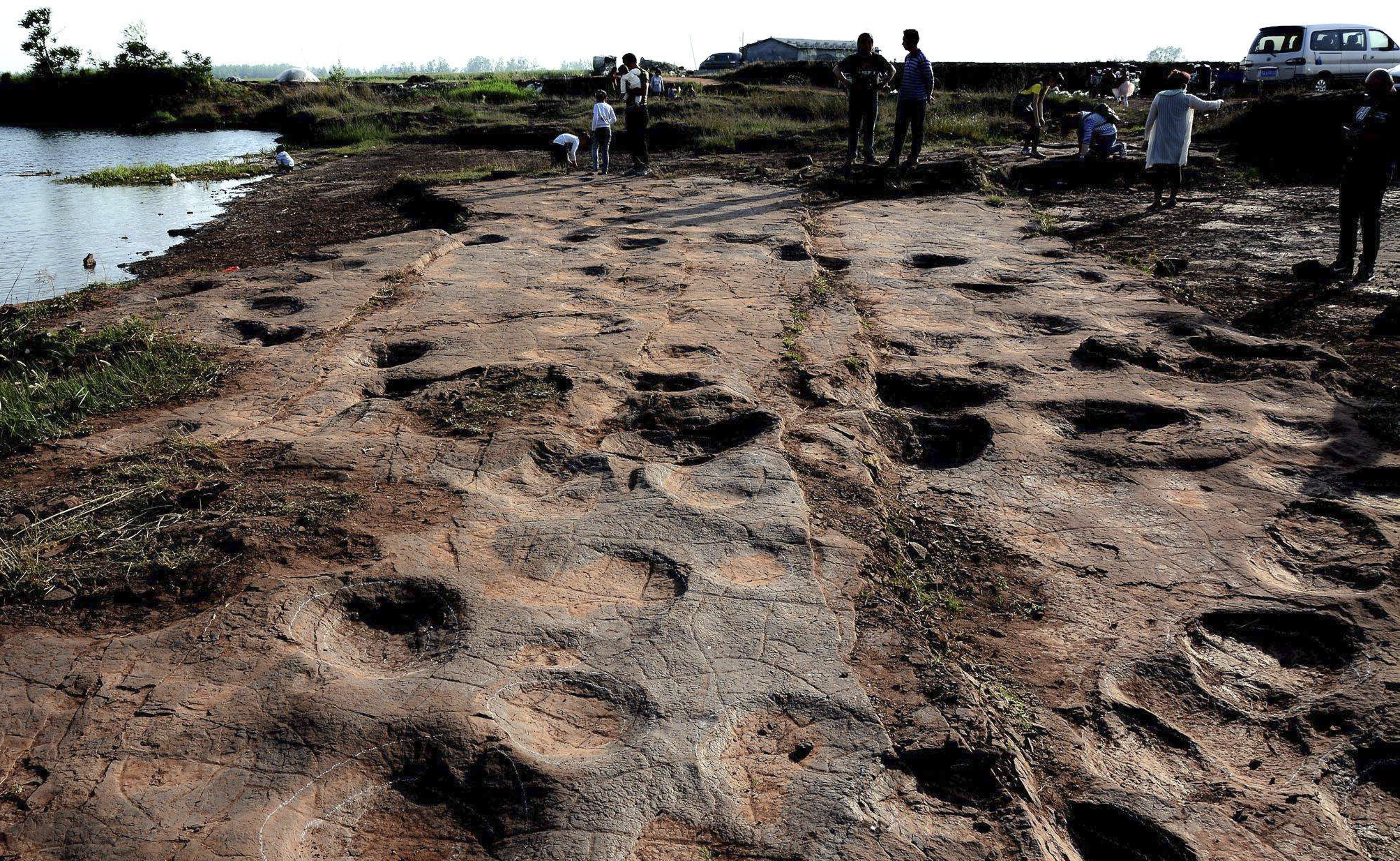 Footprints found in Shandong province suggest beasts were social and travelled together, scientists say