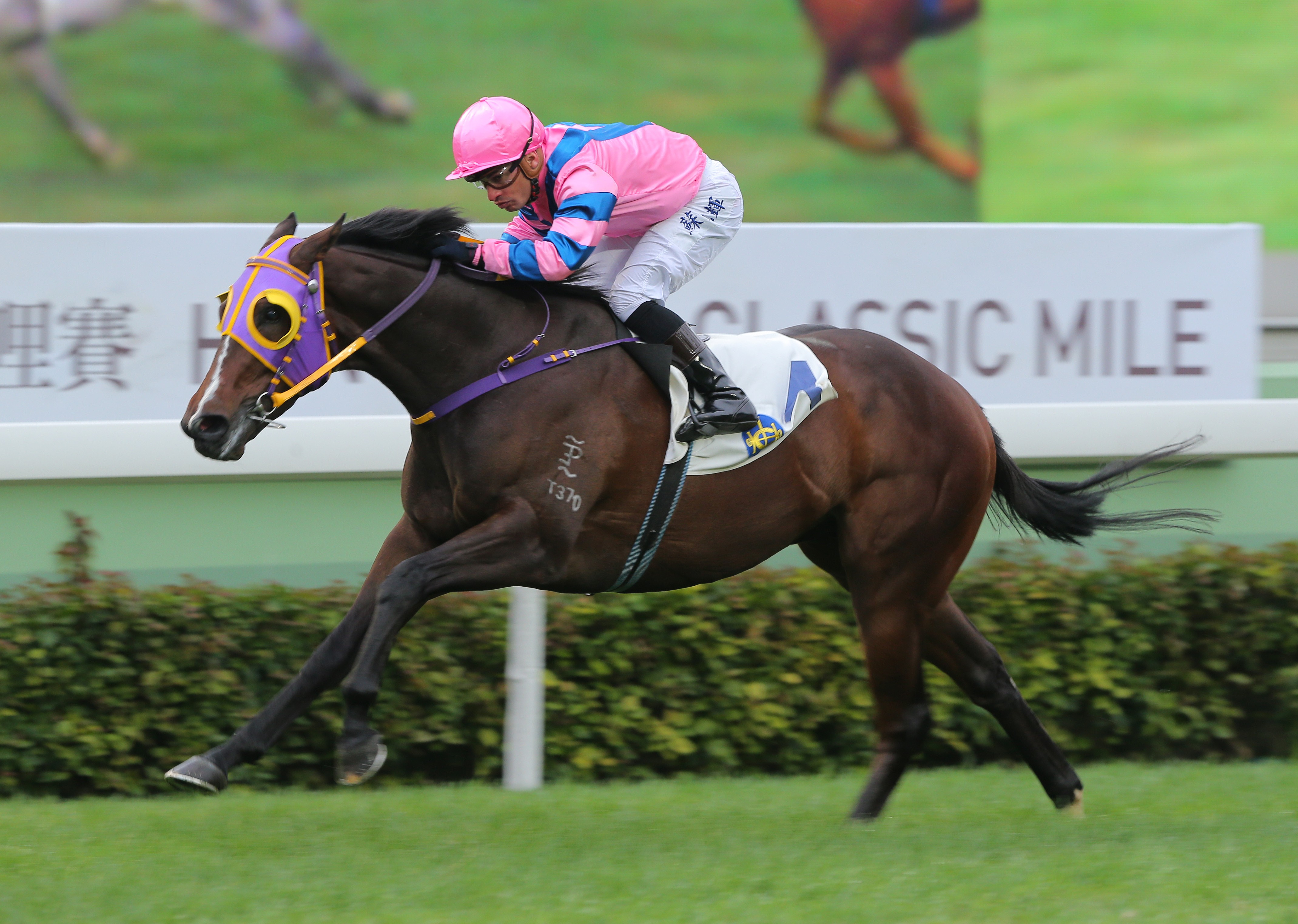 Silvestre de Sousa guides Friends Of Ka Ying to victory in January 2016. Photos: Kenneth Chan