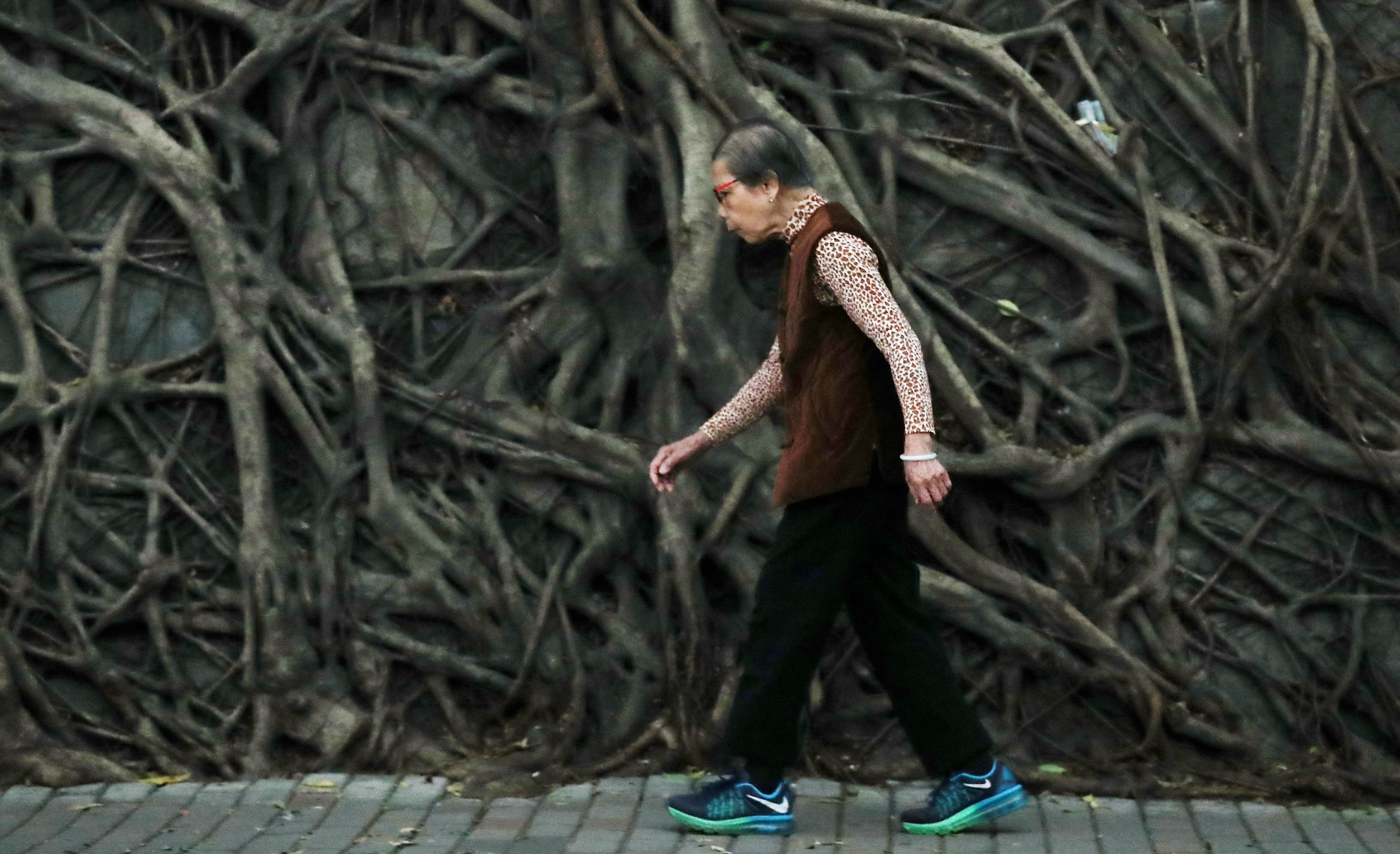 An elderly woman walks past a root-covered wall in Kennedy Town in April 2017. Roughly 18 per cent of Hong Kong’s population are aged over 65. Photo: Nora Tam