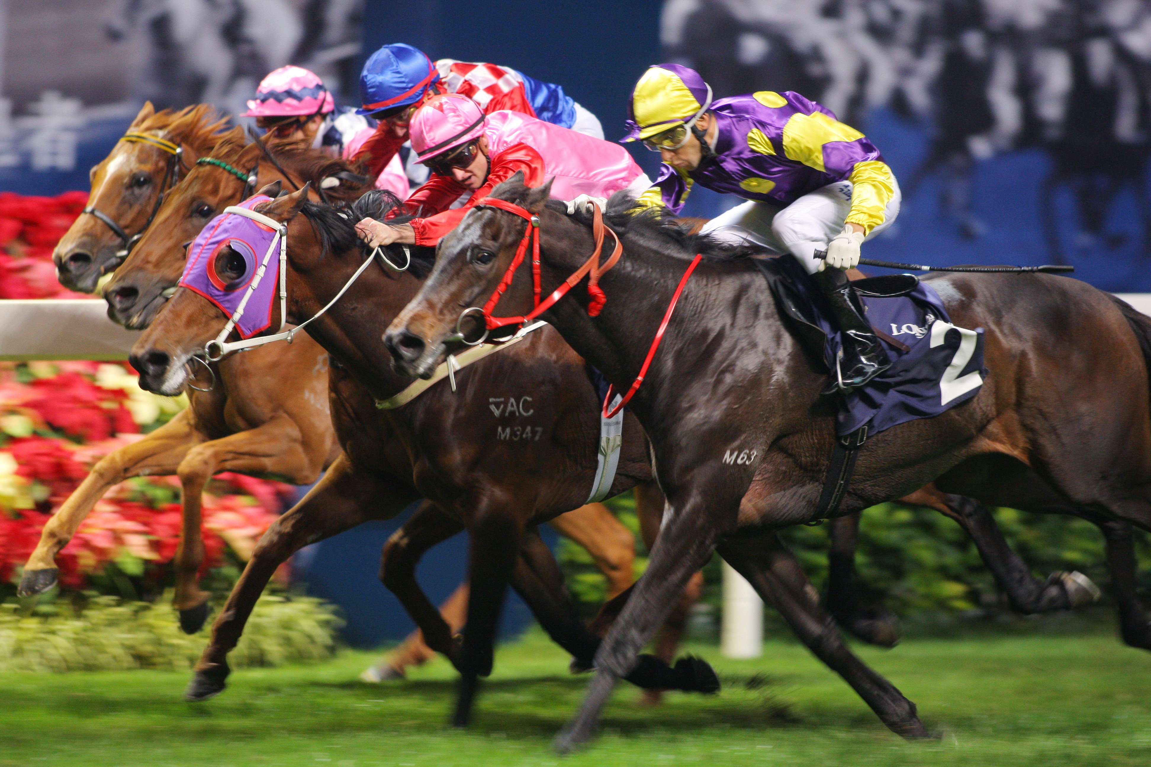 Joao Moreira and Noble Deluxe dive to nab Chancellor and Zac Purton right on the line in the 2012 IJC at Happy Valley. Photos: Kenneth Chan.