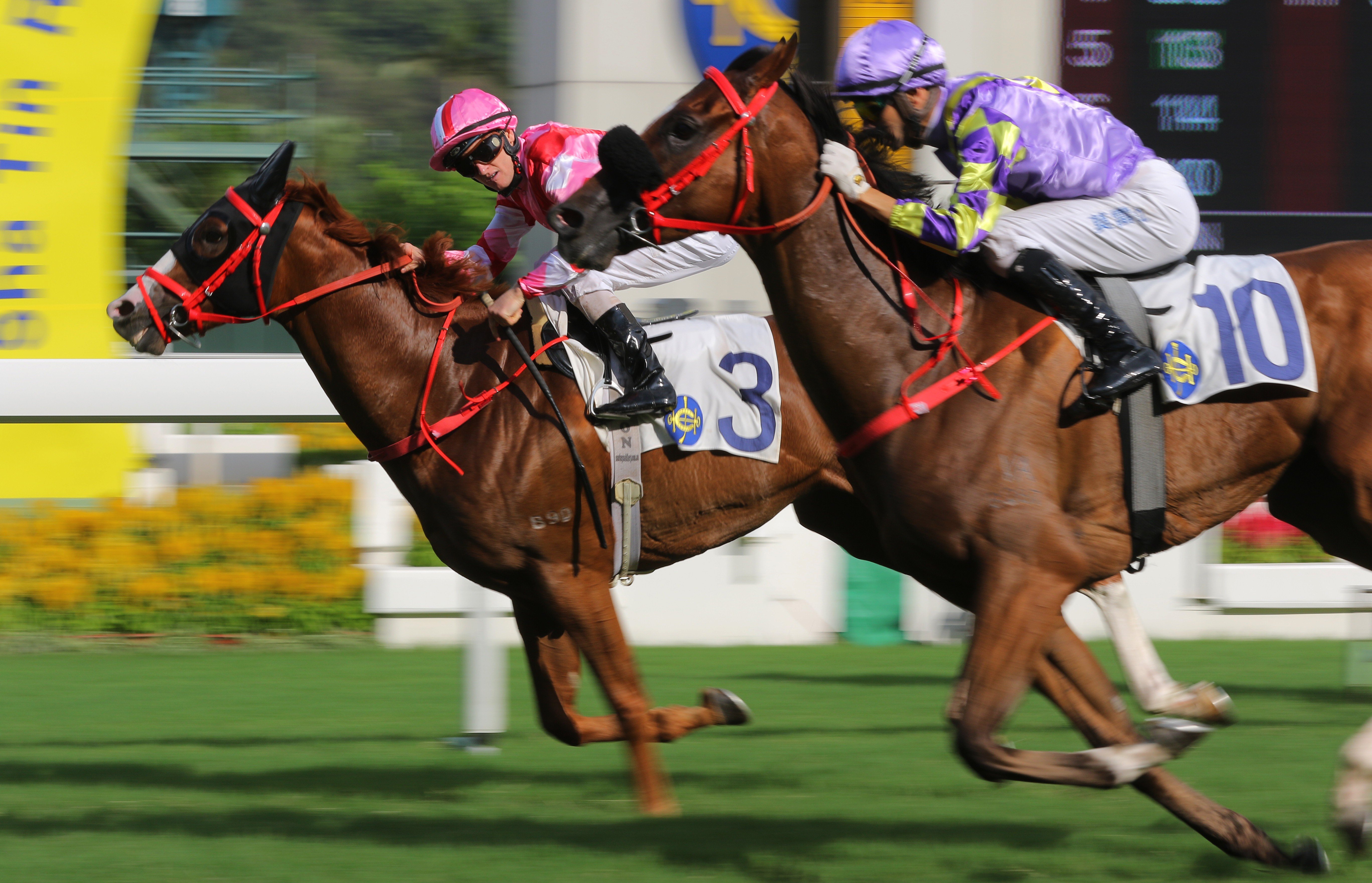 Zac Purton (left) and Joao Moreira duke out another finish. Photo: Kenneth Chan