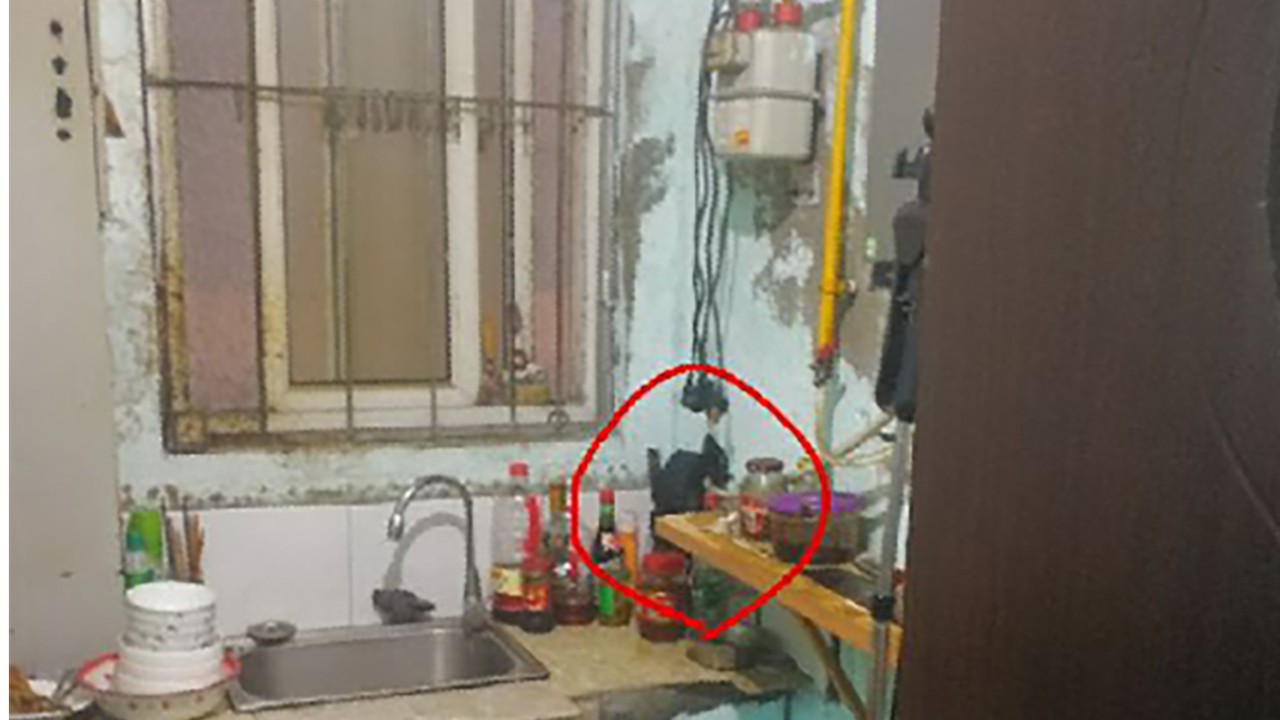 sister shower spy 