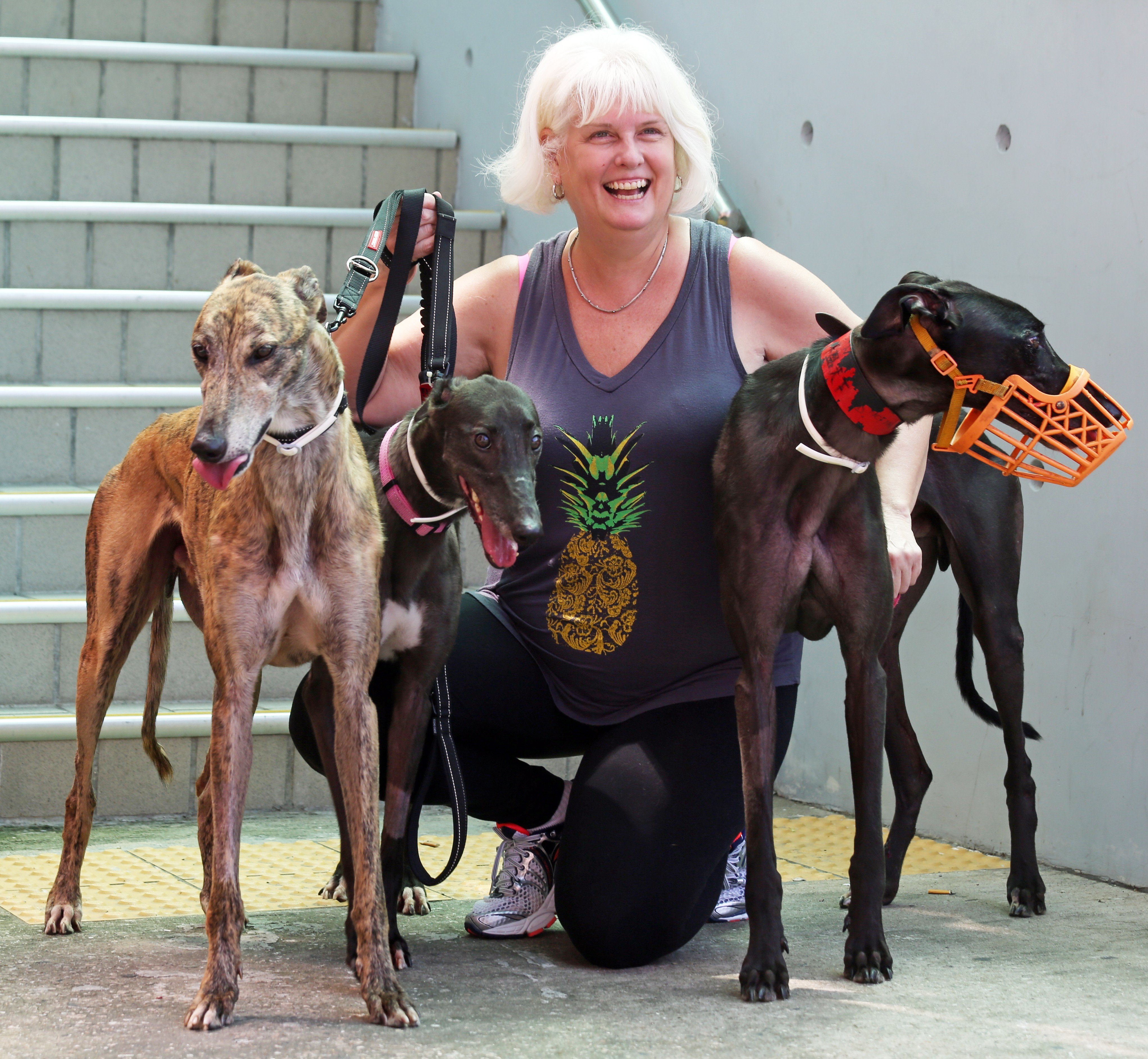 Kathleen Trainor with three of the greyhounds she adopted. Photo: Xiaomei Chen