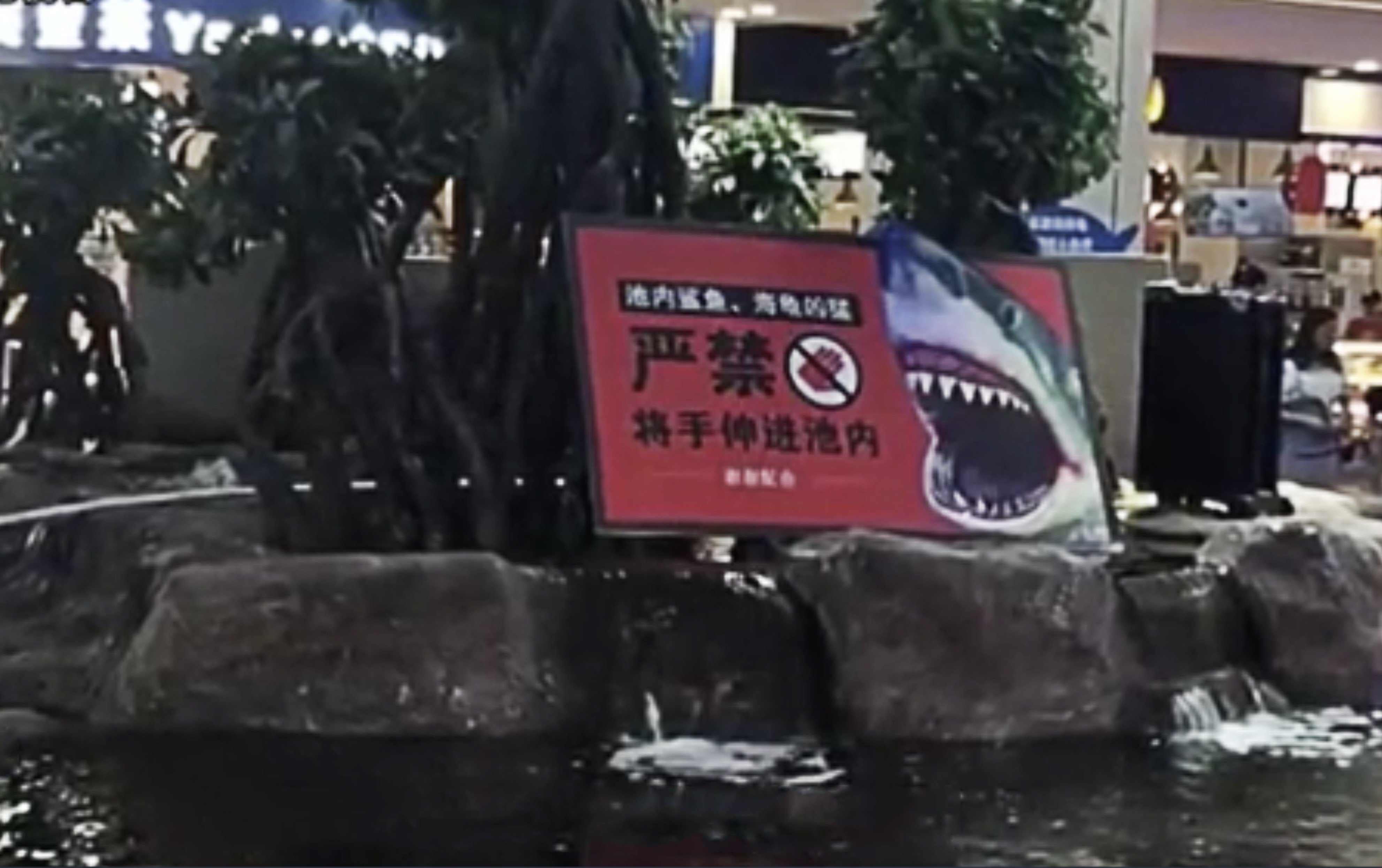 A warning sign is seen at the open-top aquarium at a Guiyang shopping mall. Photo: hd.stheadline.com
