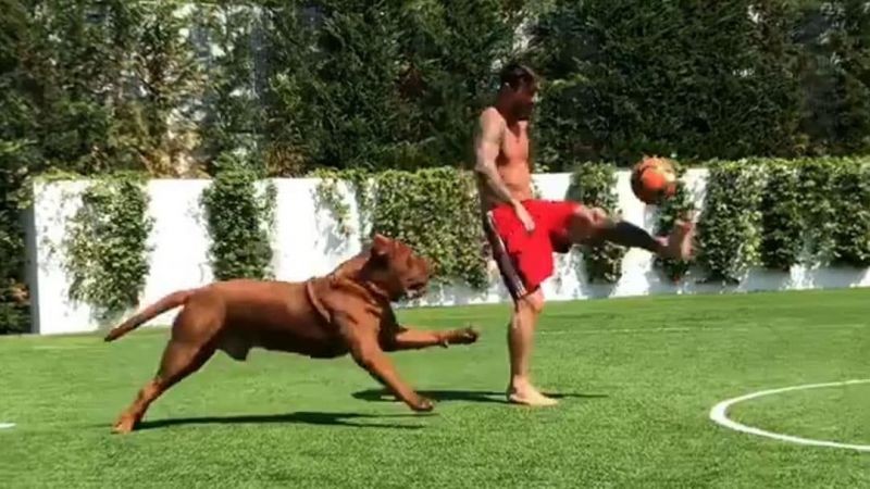 Lionel Messi plays keep away with a football from his dog Hulk. Photo: Twitter