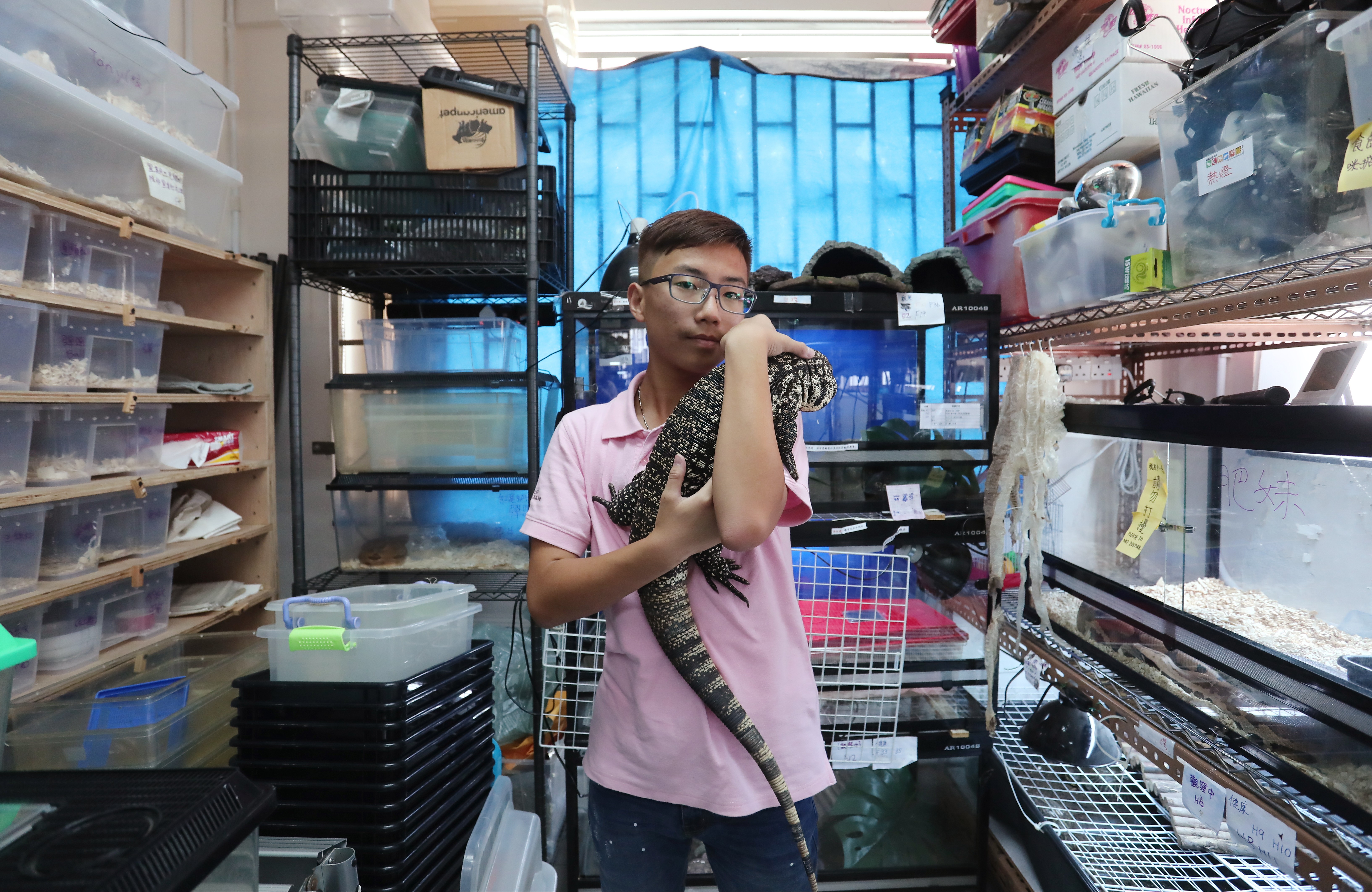 Hong Kong Pet Shops: Where To Buy Pet Supplies