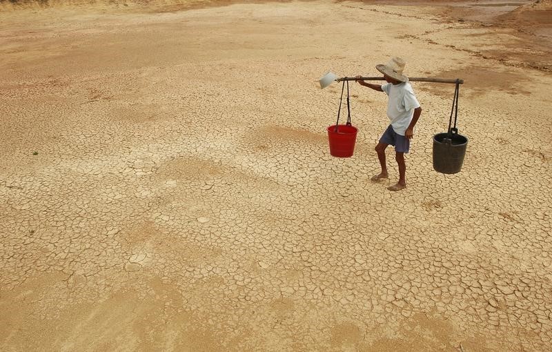 Record temperatures have claimed thousands of lives and caused droughts and floods across the continent in recent months, and the forecast is not cool