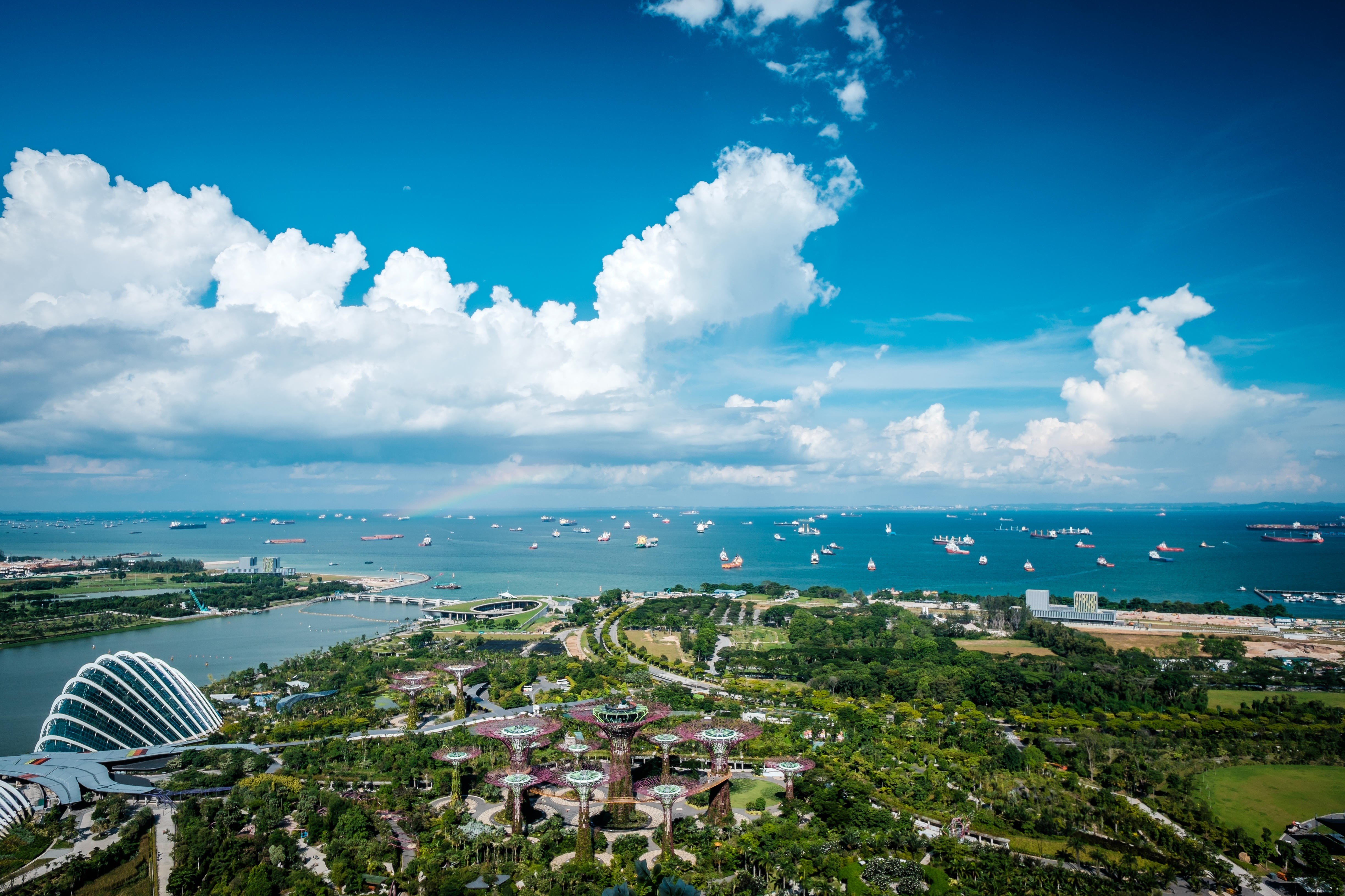 Gardens by the Bay is one of Singapore’s most popular attractions. Photo: Alamy