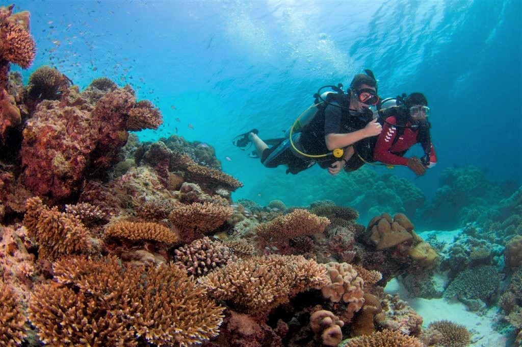 Marine biologists regularly examine the reef condition in Velavaru.