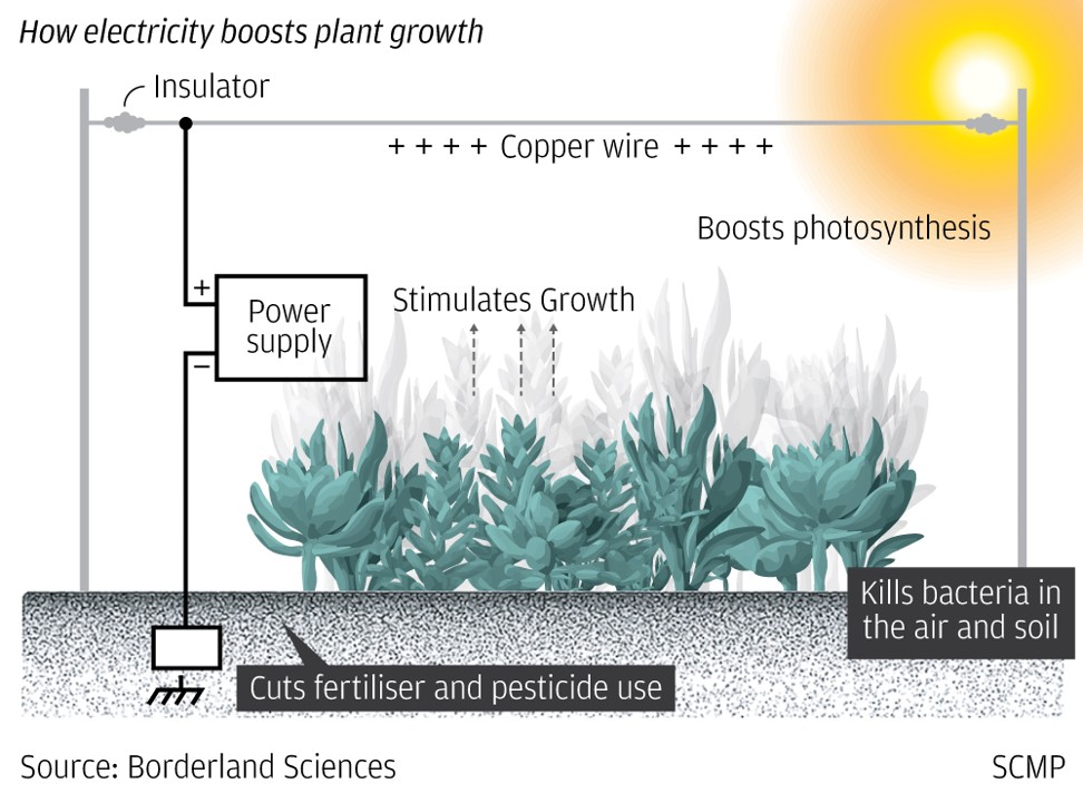 High Voltage Static & Electroculture To Increase Plant Growth