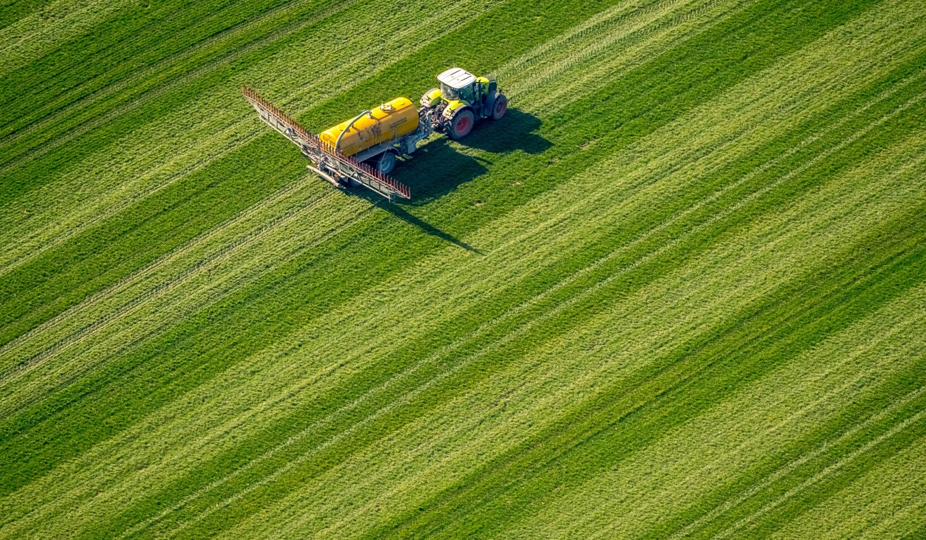 https://cdn.i-scmp.com/sites/default/files/images/methode/2018/10/23/f768f6a2-d677-11e8-a41d-3d2712b32637_1320x770_211857.JPG