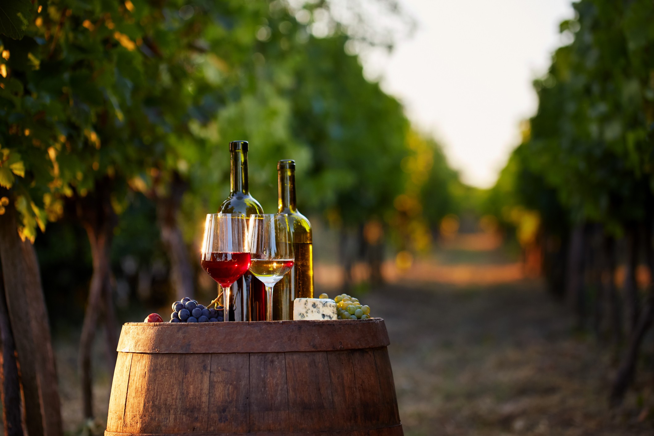Organic and biodynamic wines offer connoisseurs high-quality products made under stringent agricultural codes.