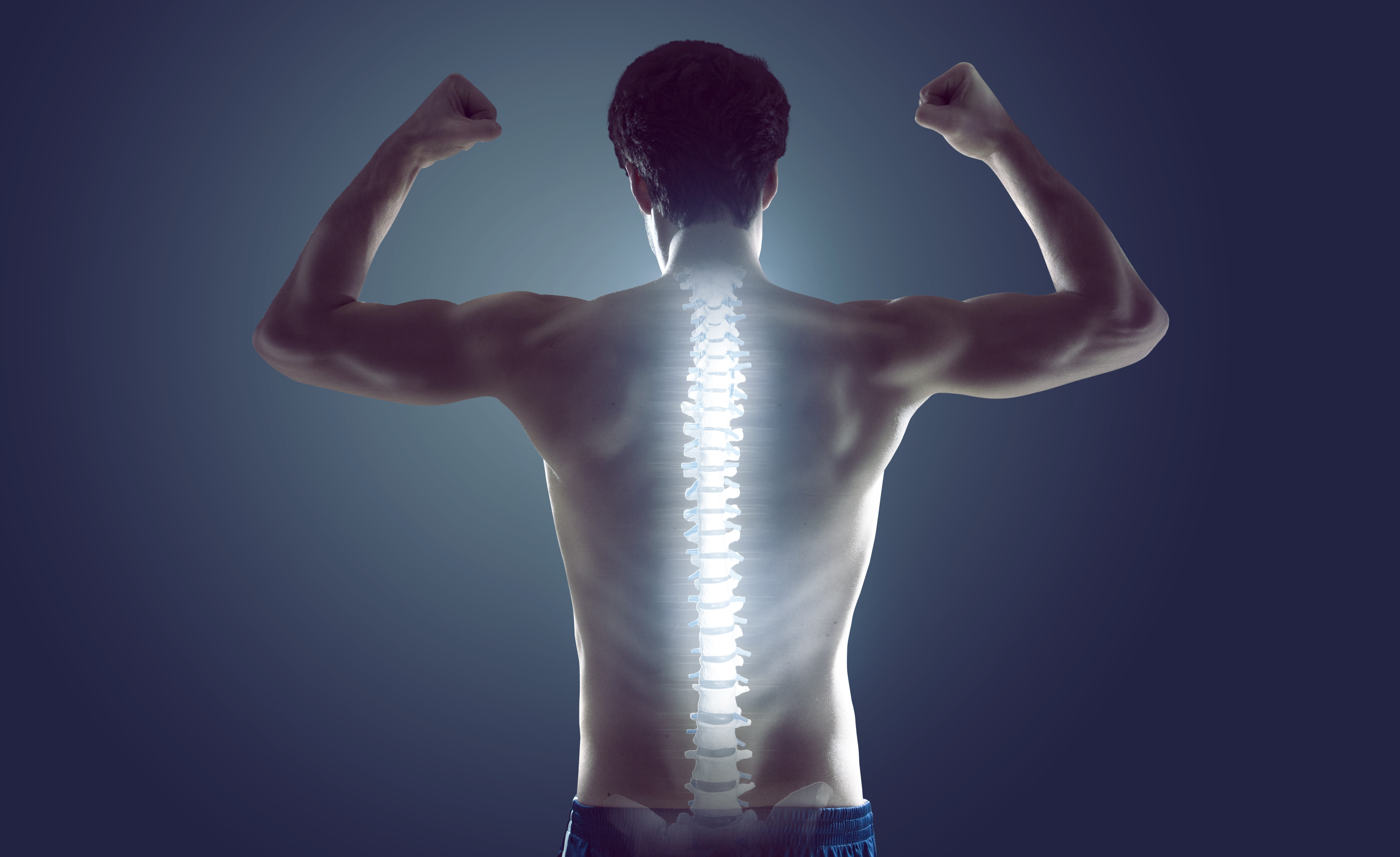 Improving your core strength will help maintain the health of your spine – shaped like a letter ‘S’ to provide balanced support for the head and upper body – which contains more than 100 joints. Photo: Shutterstock