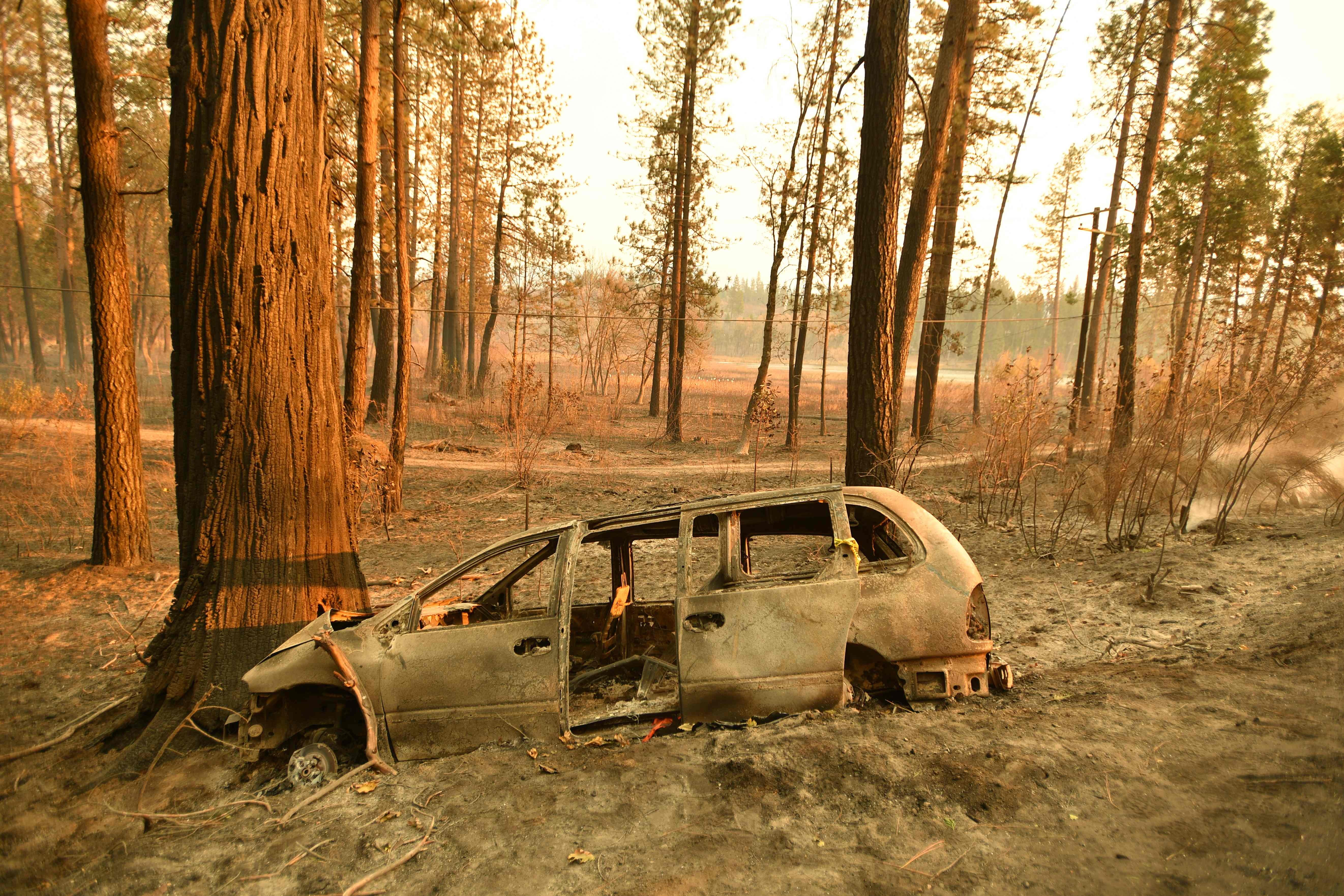 A burned-out vehicle rests against a tree in Concow, California, on November 11, after fire ripped through the area. Three major wildfires are roaring through California. The so-called “Camp Fire” in the north has already destroyed more than 6,700 structures, and is considered the most destructive fire in state history. Photo: AFP