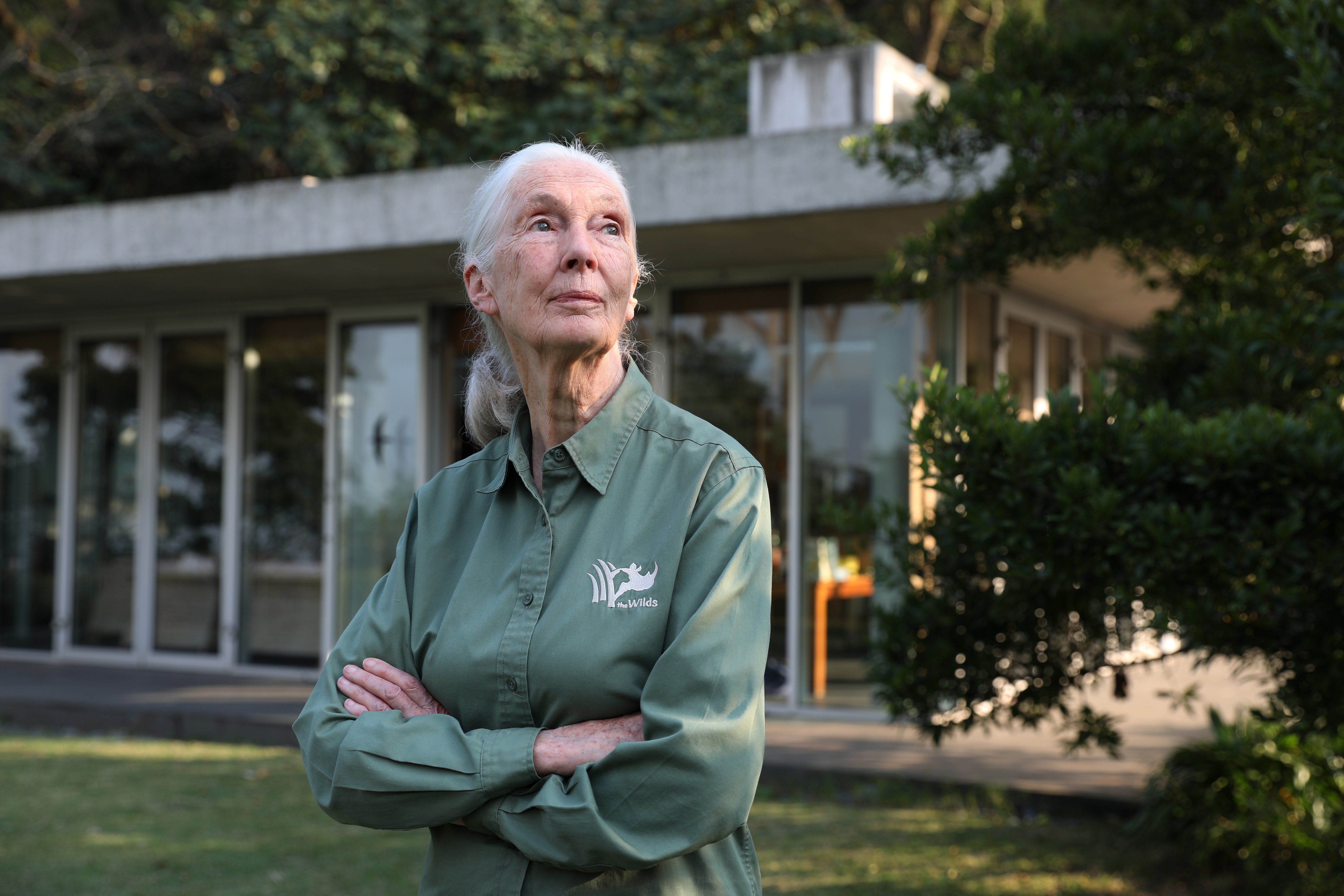 Dr Jane Goodall, 84, renowned British primatologist and founder of the Jane Goodall Institute, at Kadoorie Farm and Botanic Garden in Tai Po. Photo: Nora Tam