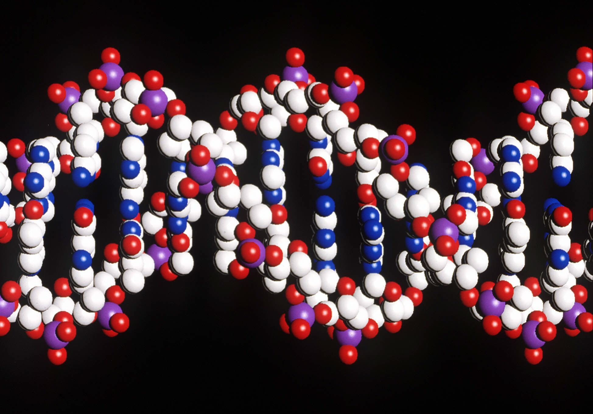 By 2025 up to 2 billion human genomes could be sequenced. Photo: Handout