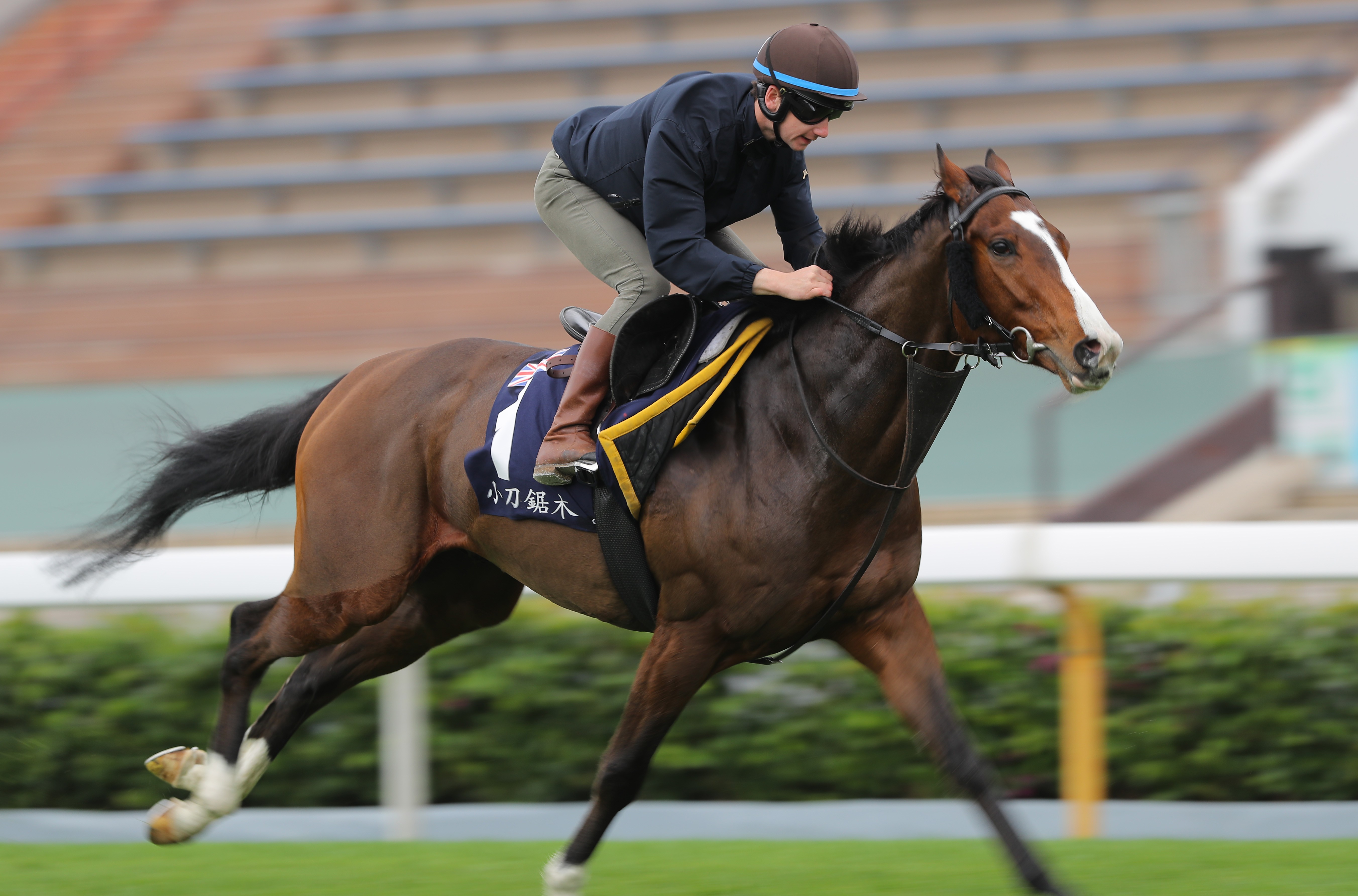 Oisin Murphy gallops Beat The Bank in trackwork at Sha Tin ahead of the Hong Kong Mile on Sunday. Photos: Kenneth Chan