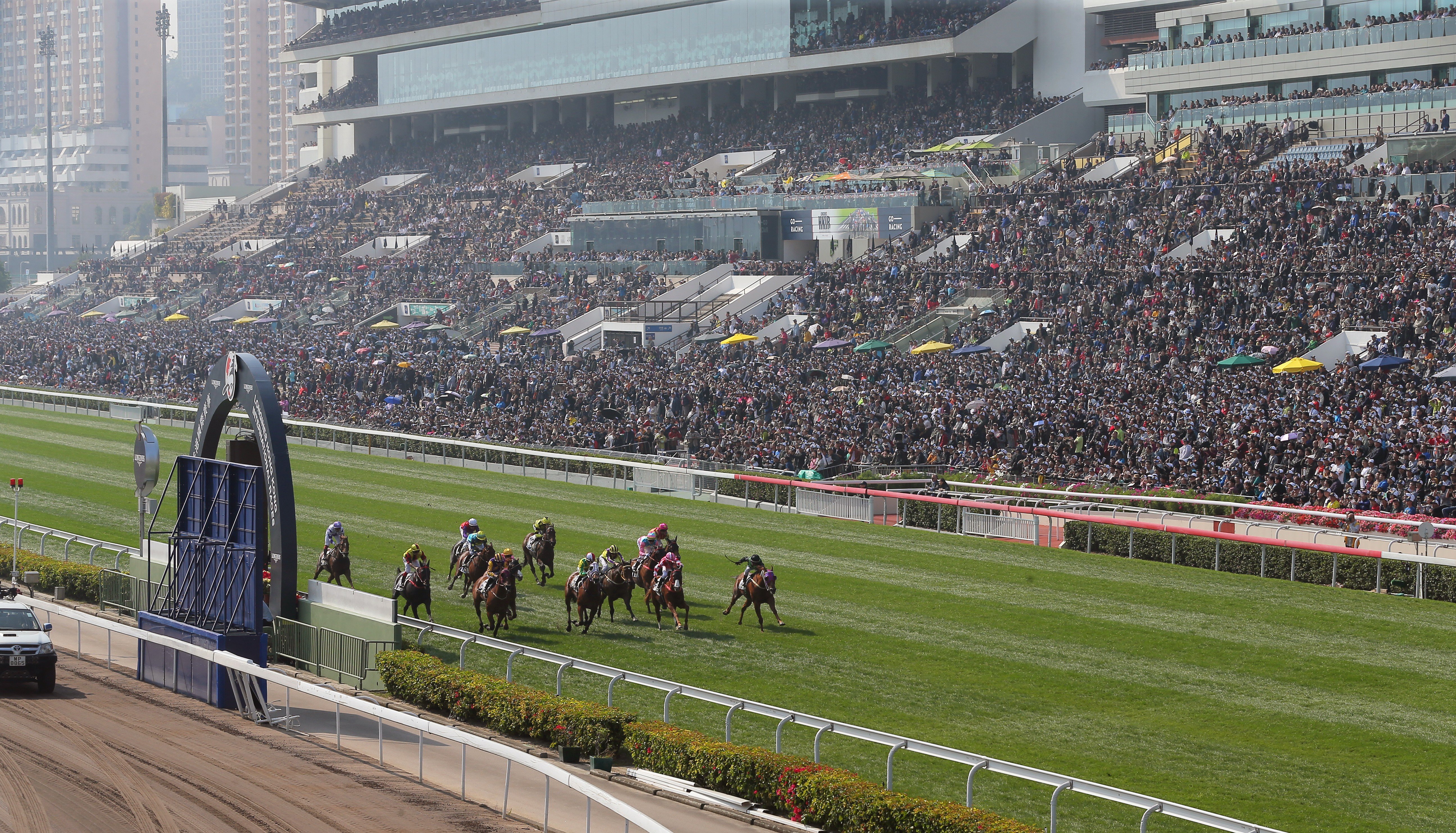 Punters at Sha Tin watch a race at the 2017 HKIR. Photos: Kenneth Chan