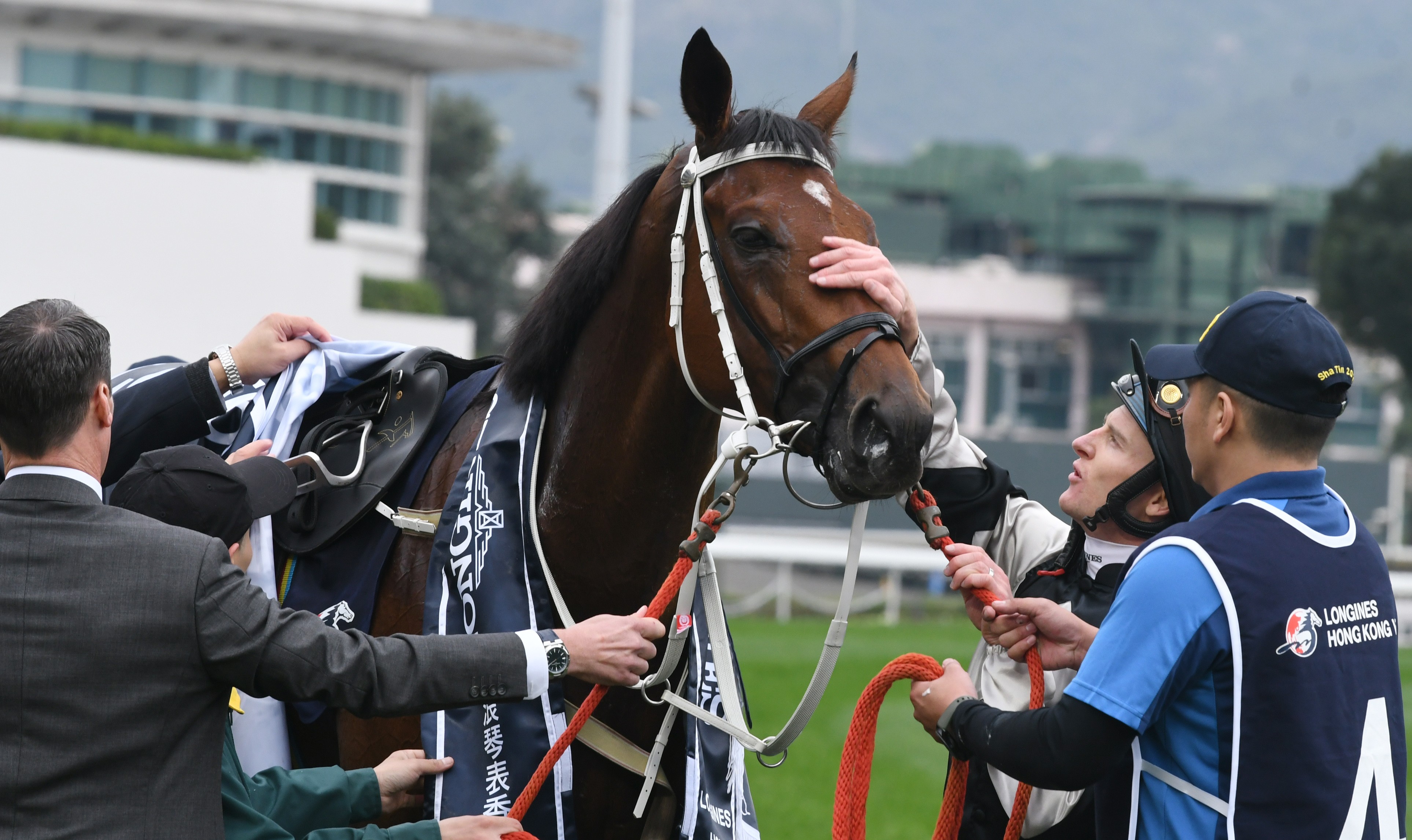 Zac Purton gives Exultant a pat after winning the Longines Hong Kong Vase. Photo: Kenneth Chan